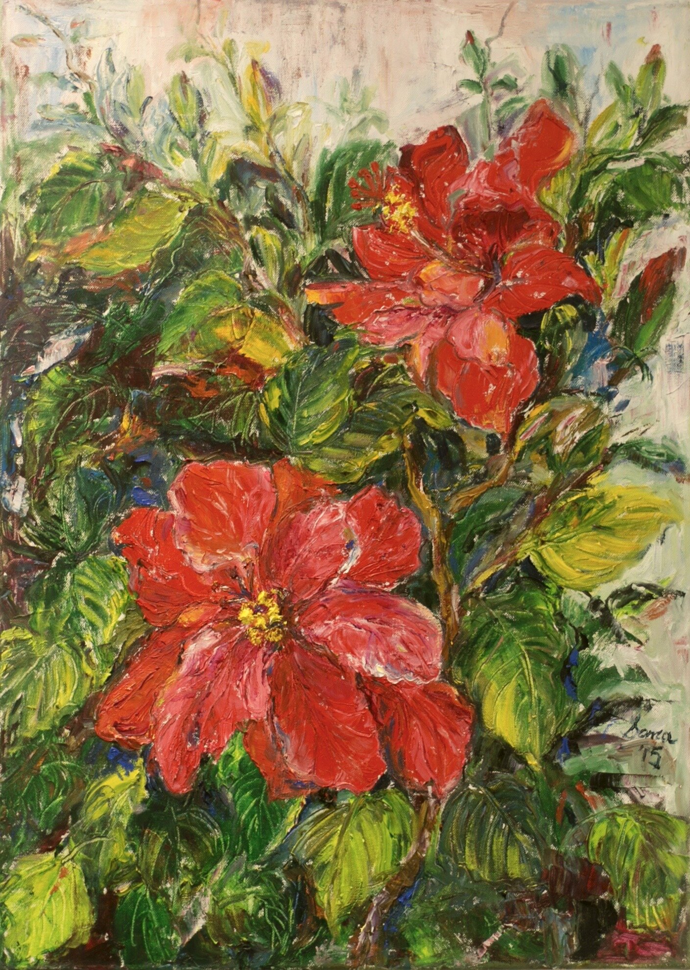 Hibiscus 1