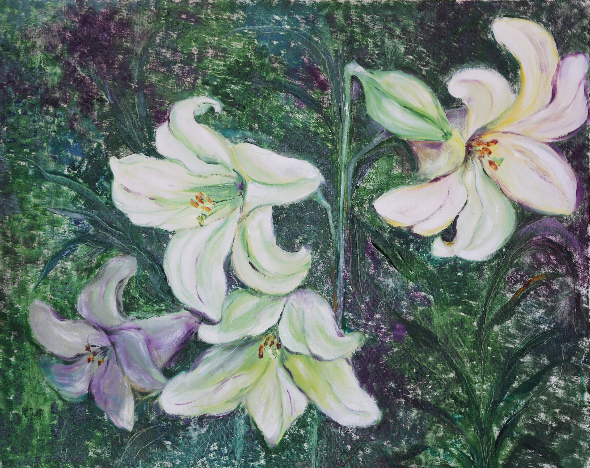 Lillies 4