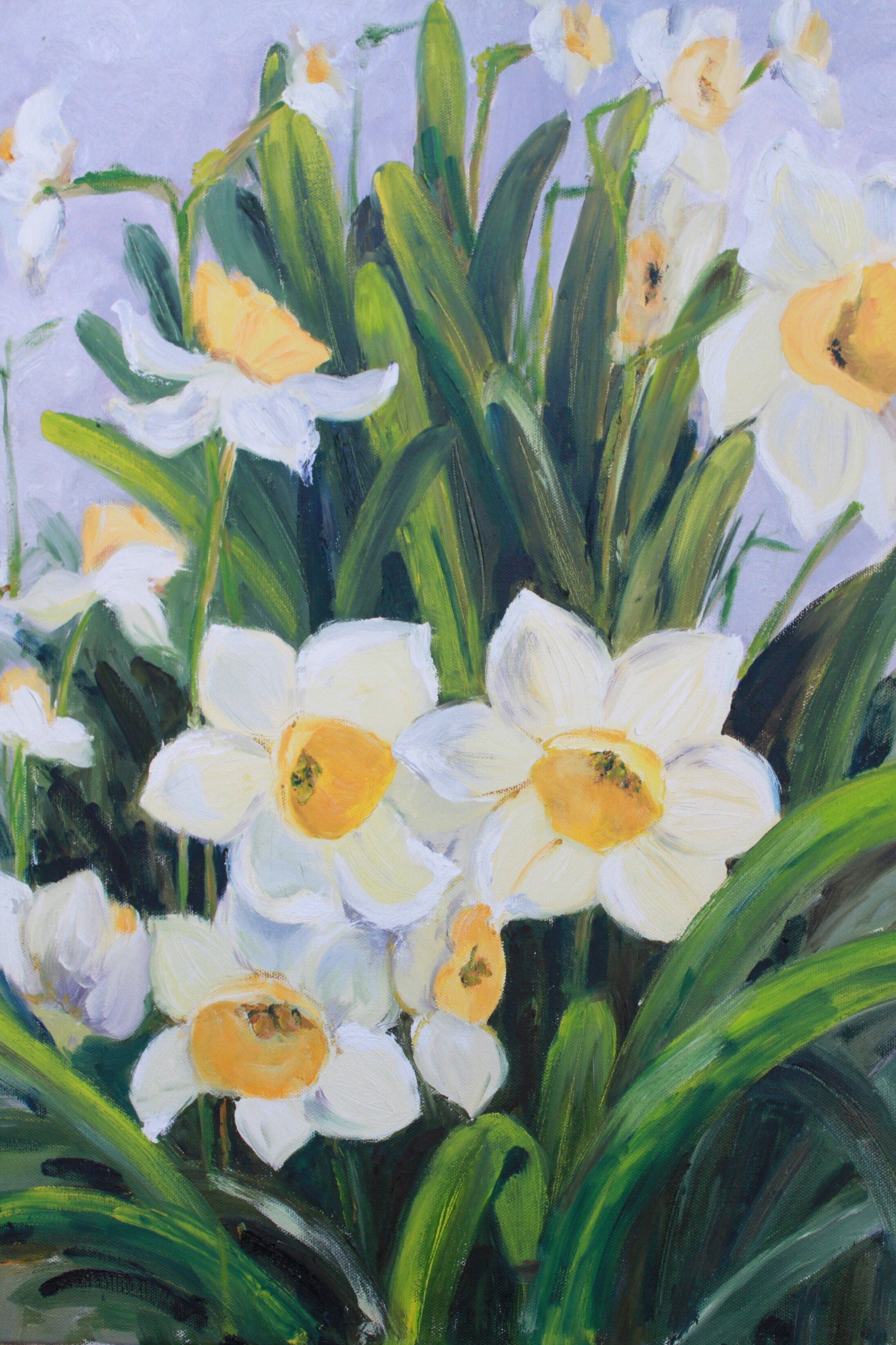 Daffodils 2