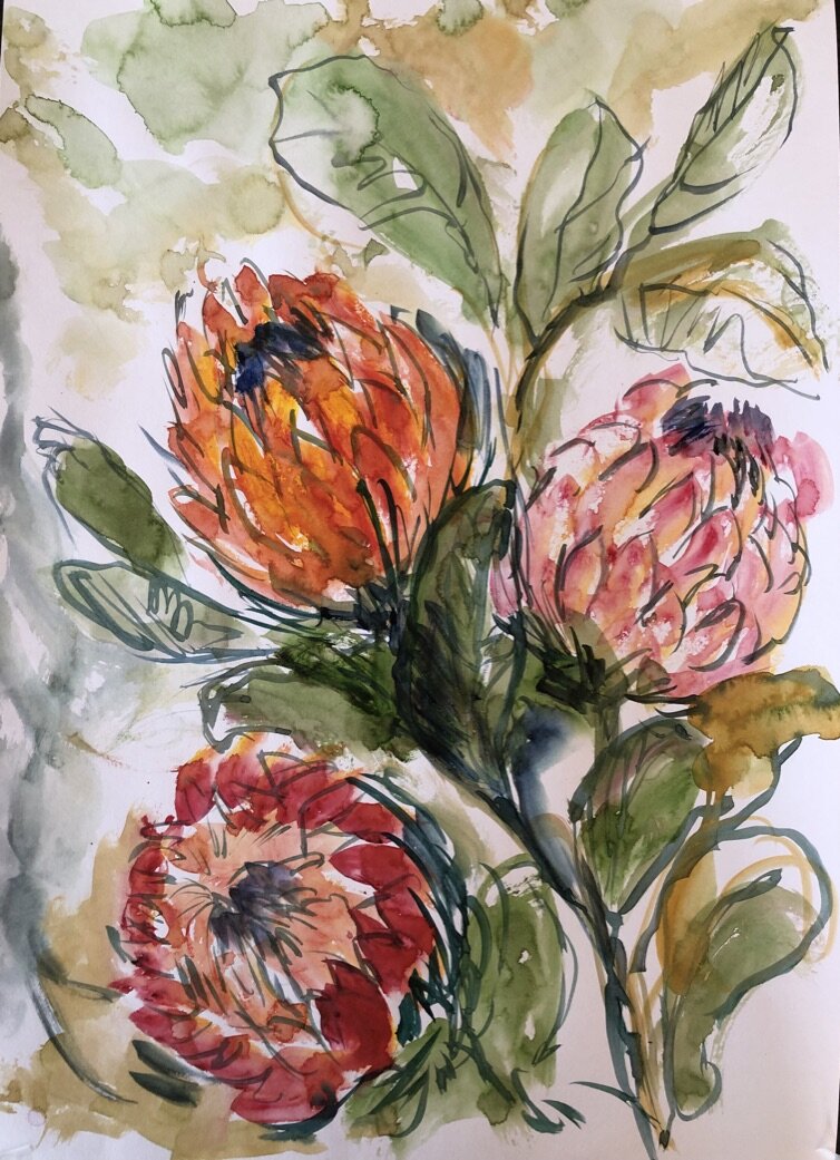 Protea