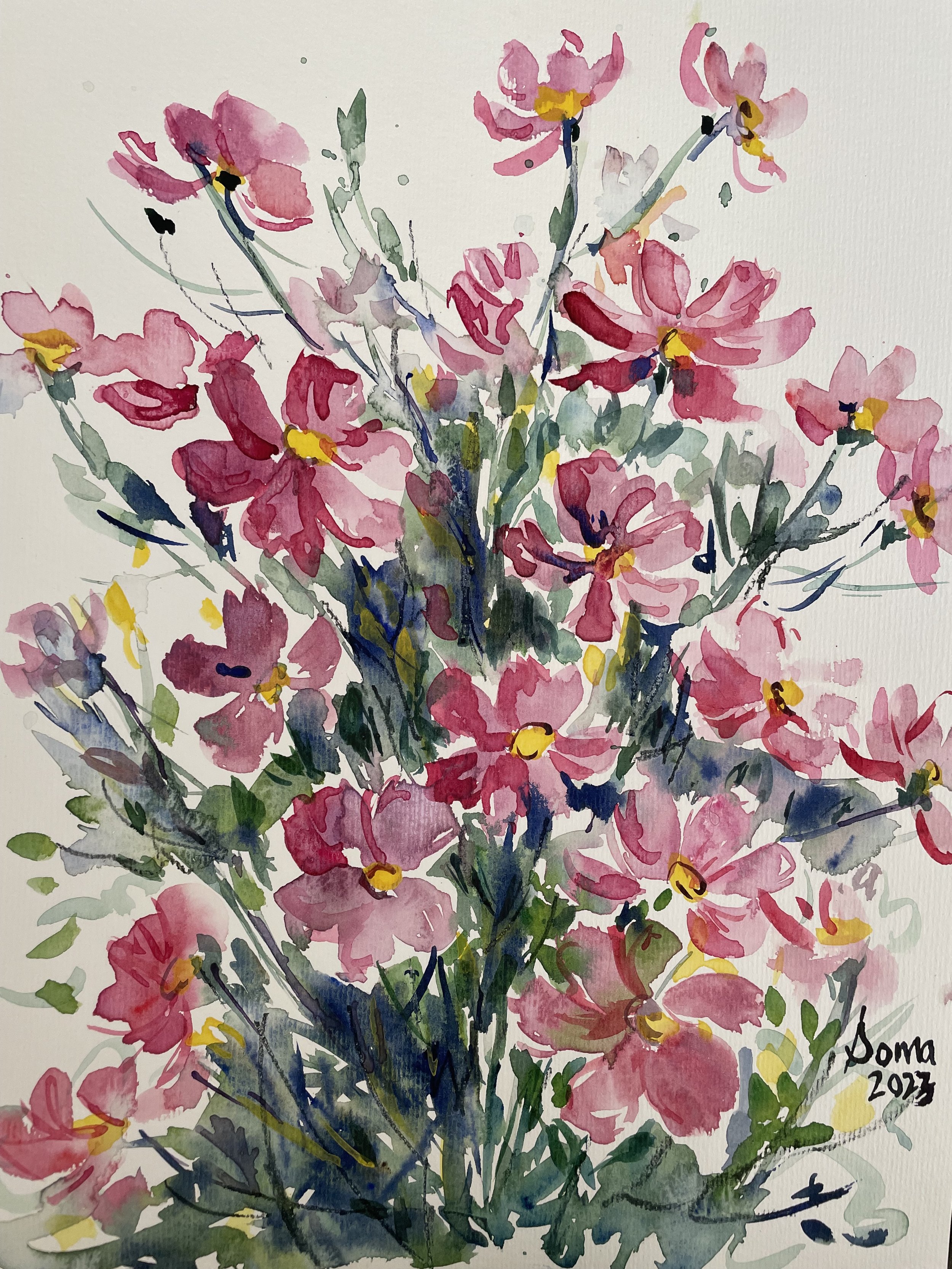 Floral 26 (cosmos) SOLD,  watercolor, 14" * 11", $ 200