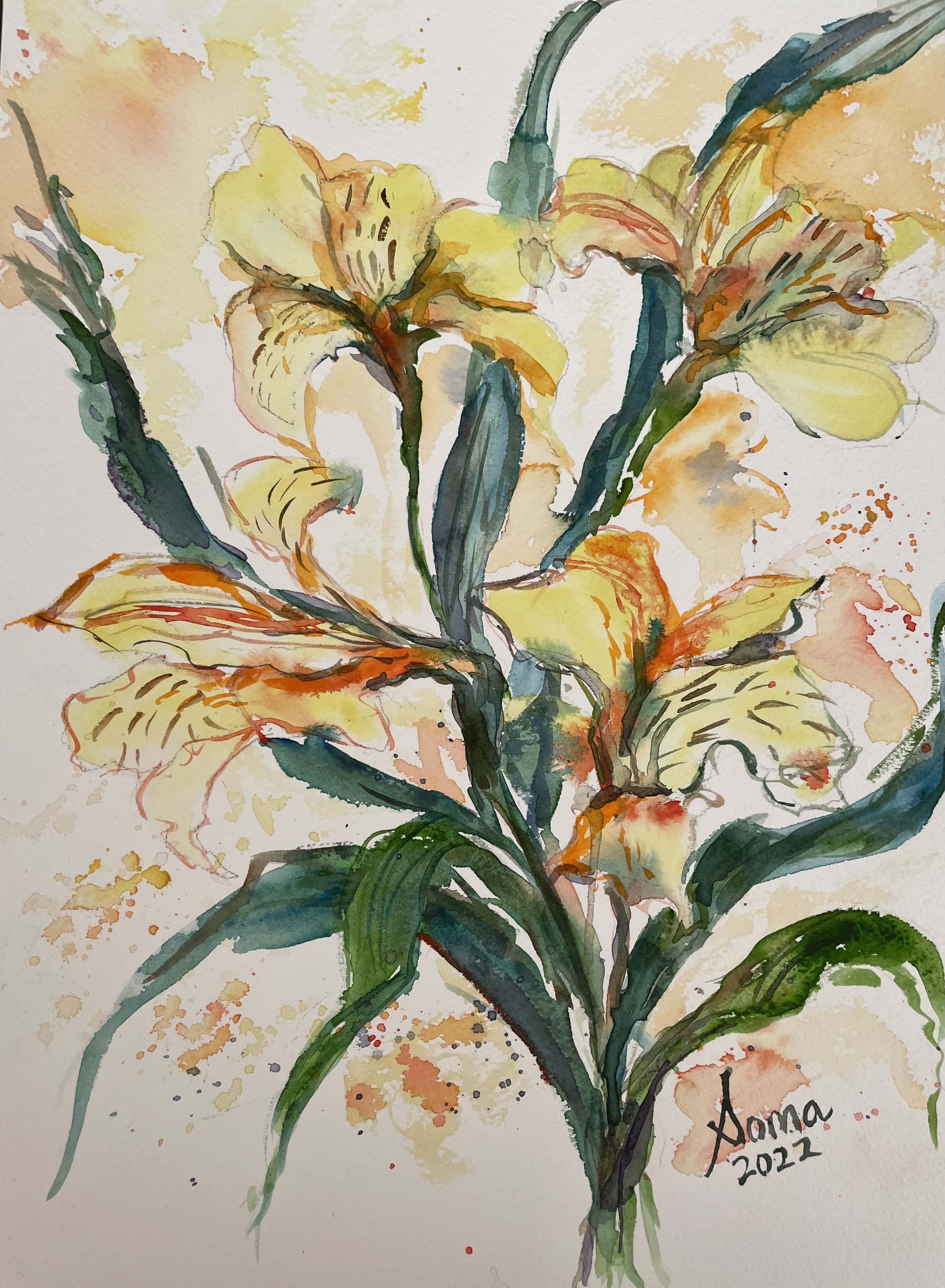 Floral 20 (Astromaria), watercolor, 14" * 11", $ 200