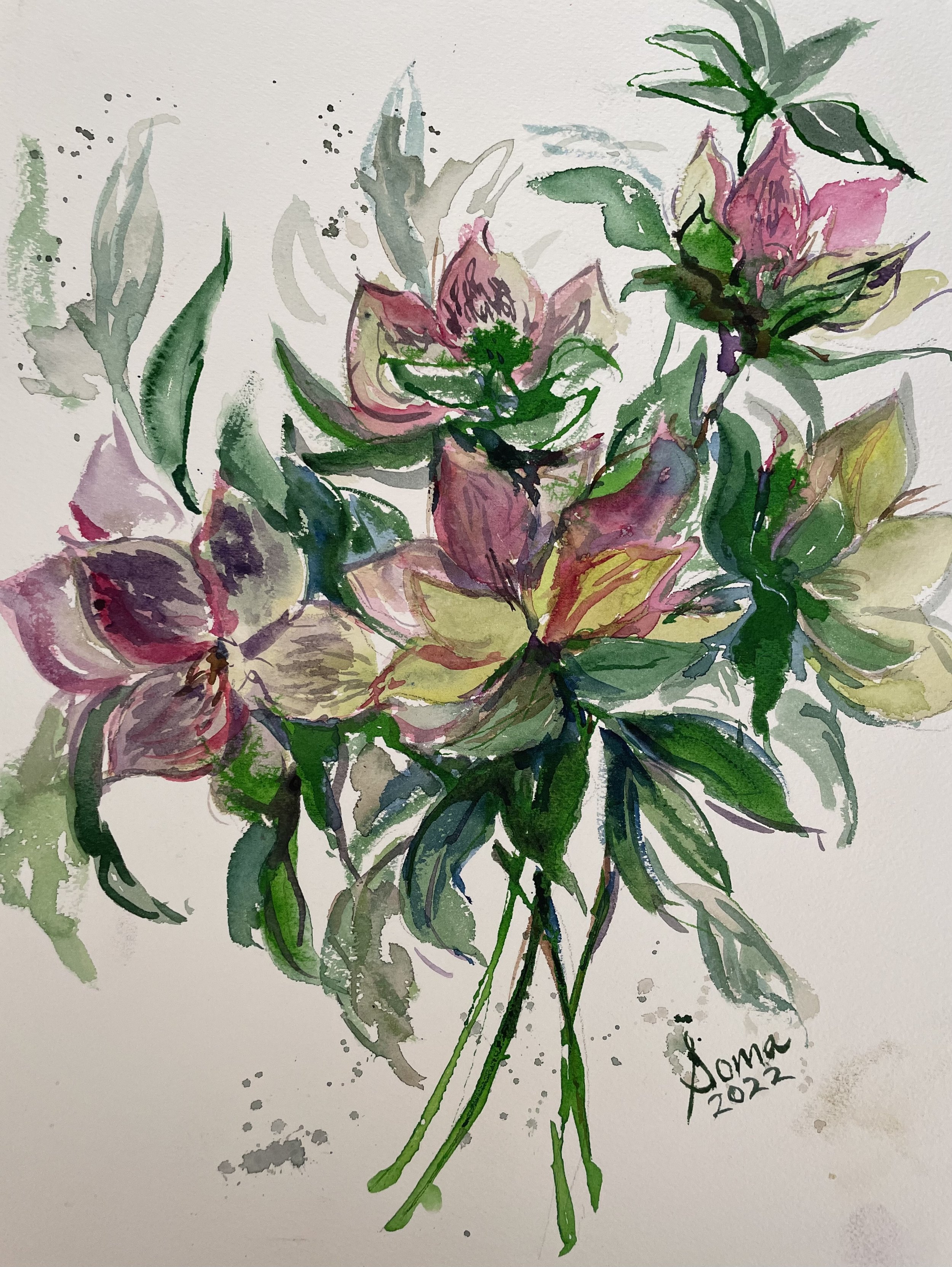 Floral 25 (Hellebores), watercolor, 14" * 11", $ 200