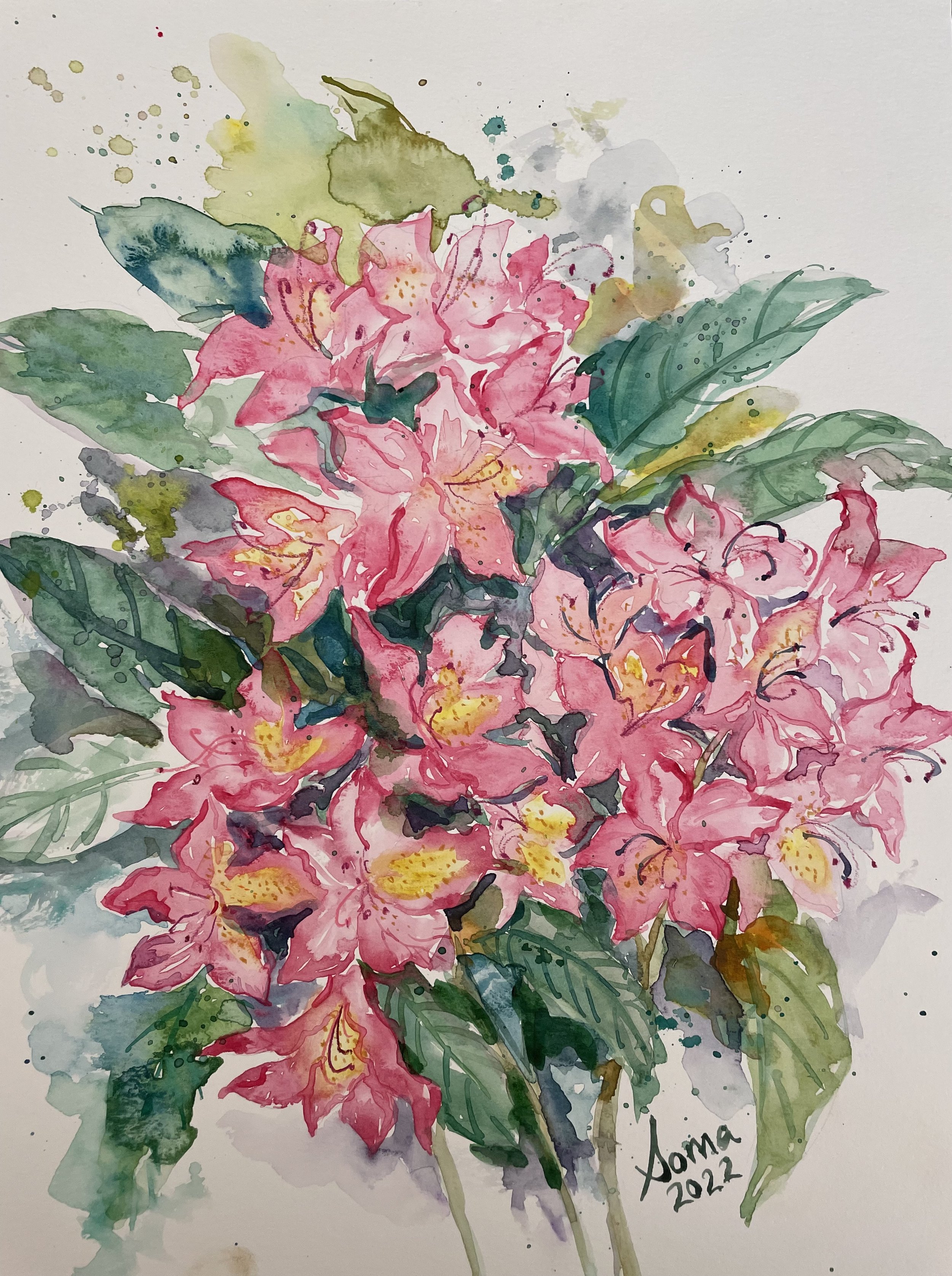 Floral 5 (Rhododendrons) Sold , watercolor, 14" * 11", $ 200