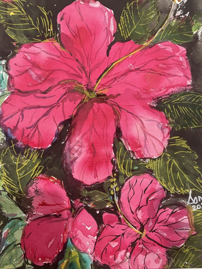 Floral 50 (Hibiscus), Ink and watercolor,  14" * 11", $ 200