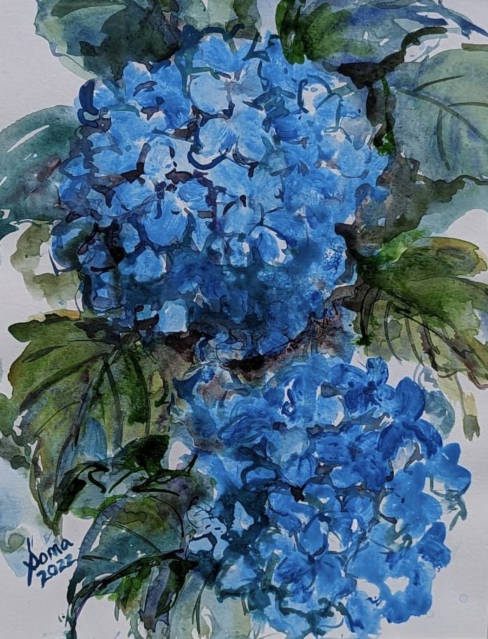 Floral 21 (Hydrangea) SOLD, Ink and watercolor,  14" * 11", $ 200