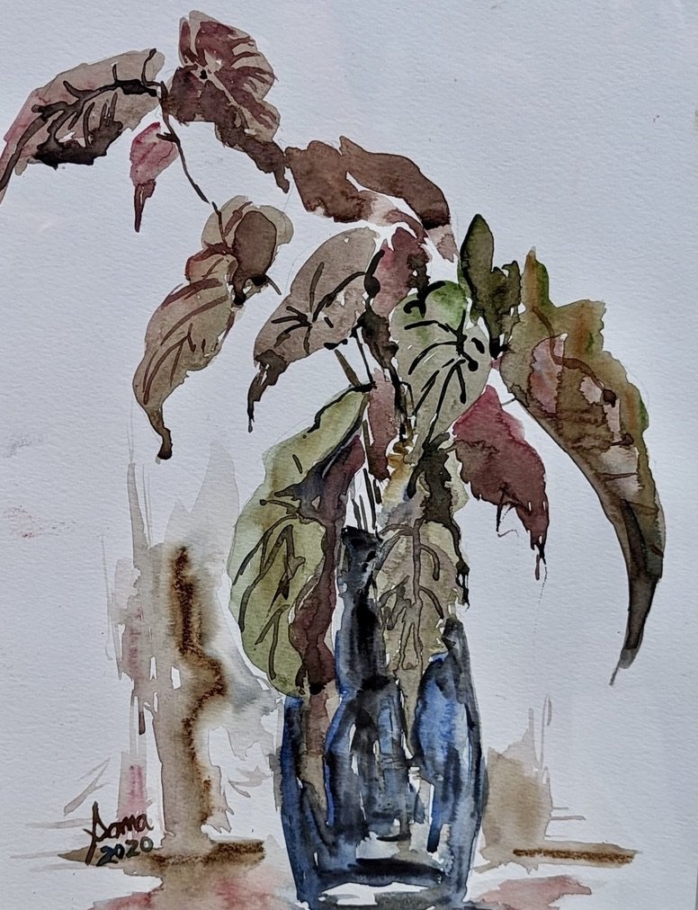 Floral 9 (Assortment), watercolor, 14" * 11", $ 200