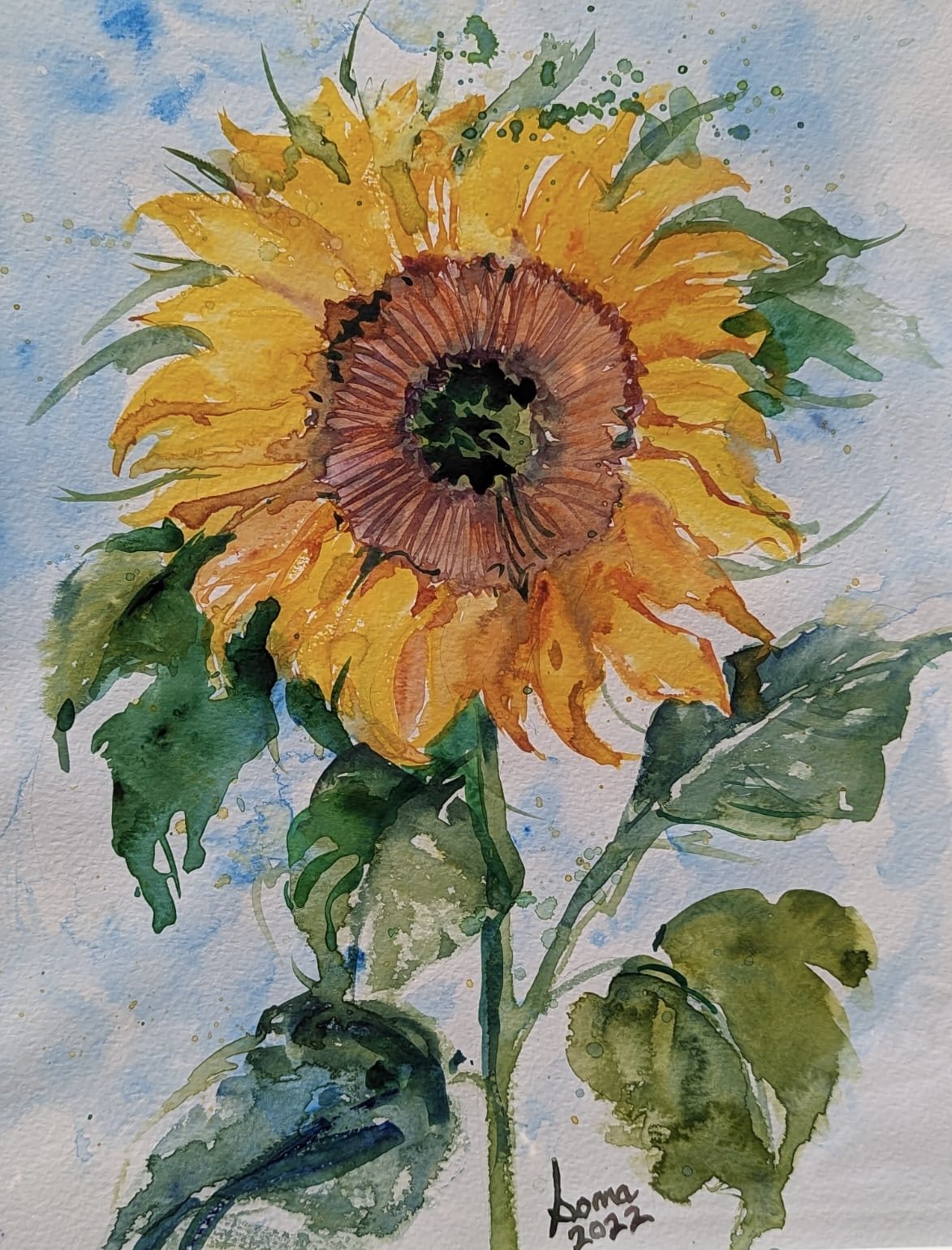 Floral 11 (Sunflower ), watercolor, 14" * 11", $ 200