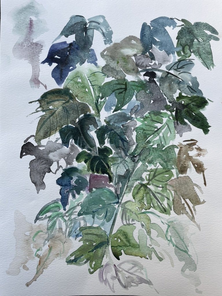 Floral 10 (Assortment) , watercolor, 14" * 11", $ 200