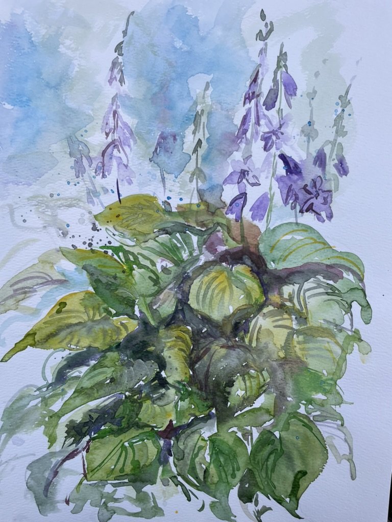 Floral 8  (Hosta) , watercolor, 14" * 11", $ 200