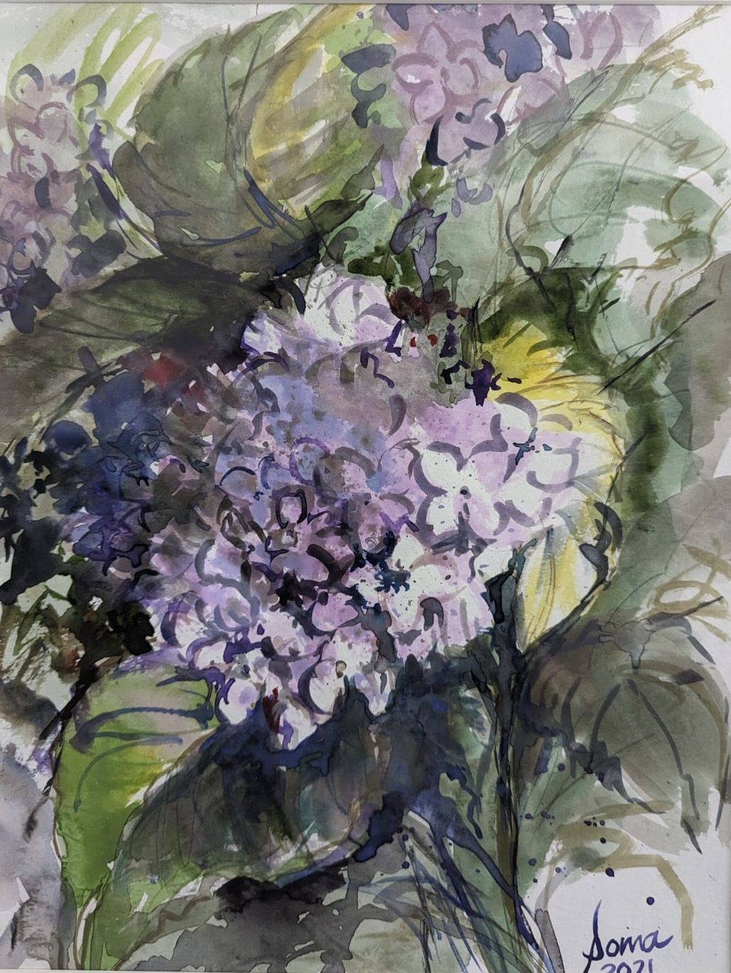 Floral 35 (Hydrangea), watercolor, 14" * 11", $ 200