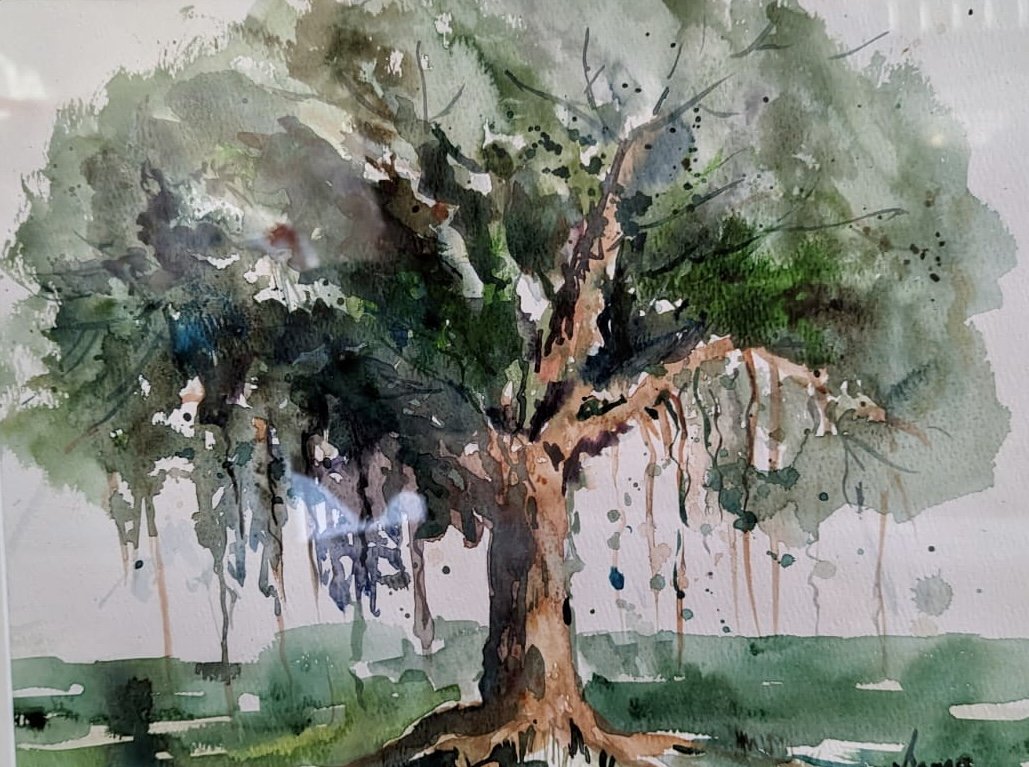 Scenic 68 (Banyan), Ink and watercolor SOLD,  14" * 11", $ 200