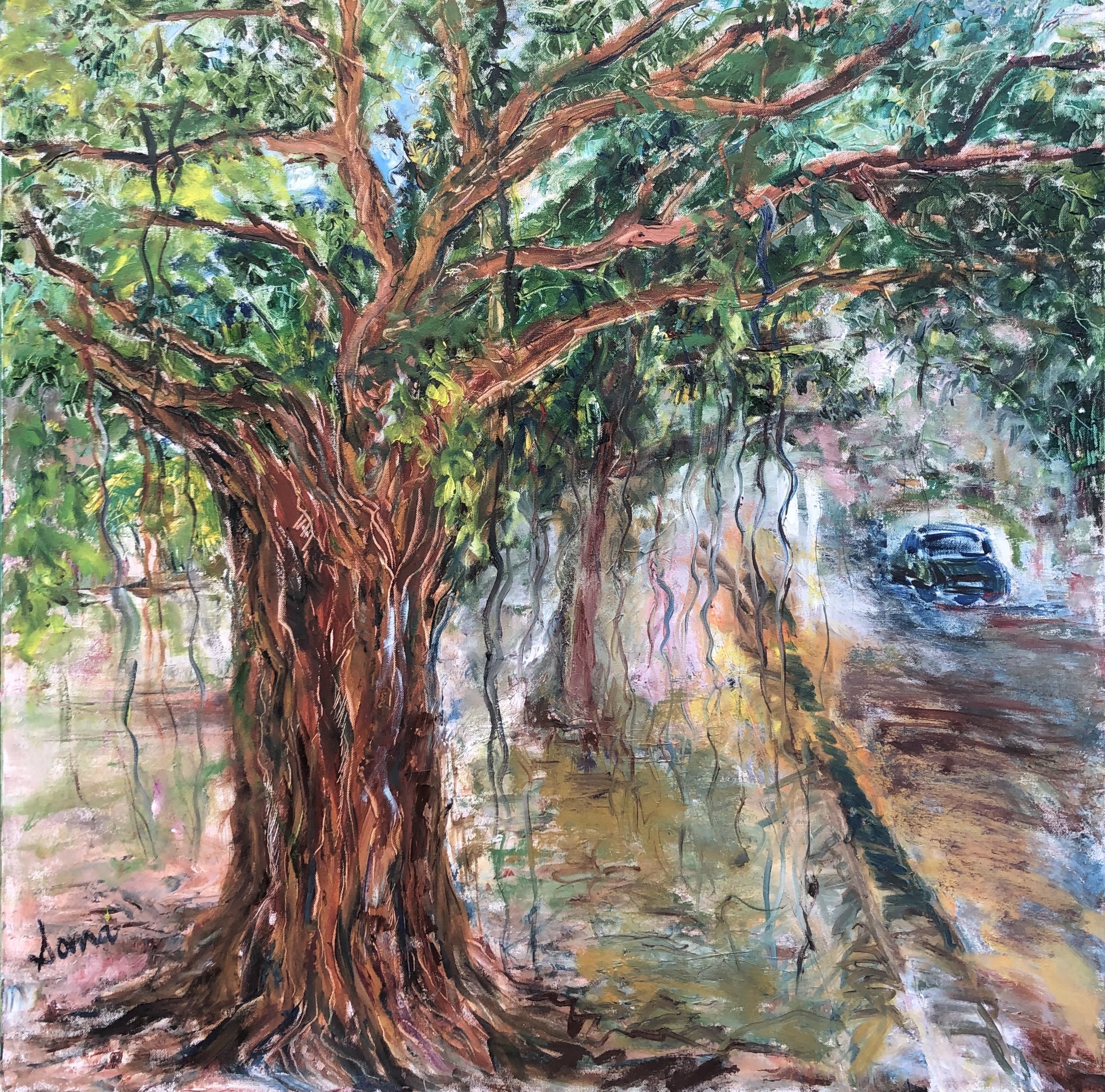 Scenic 78 (Banyan) , Oils  SOLD, 36"*36", $ 500