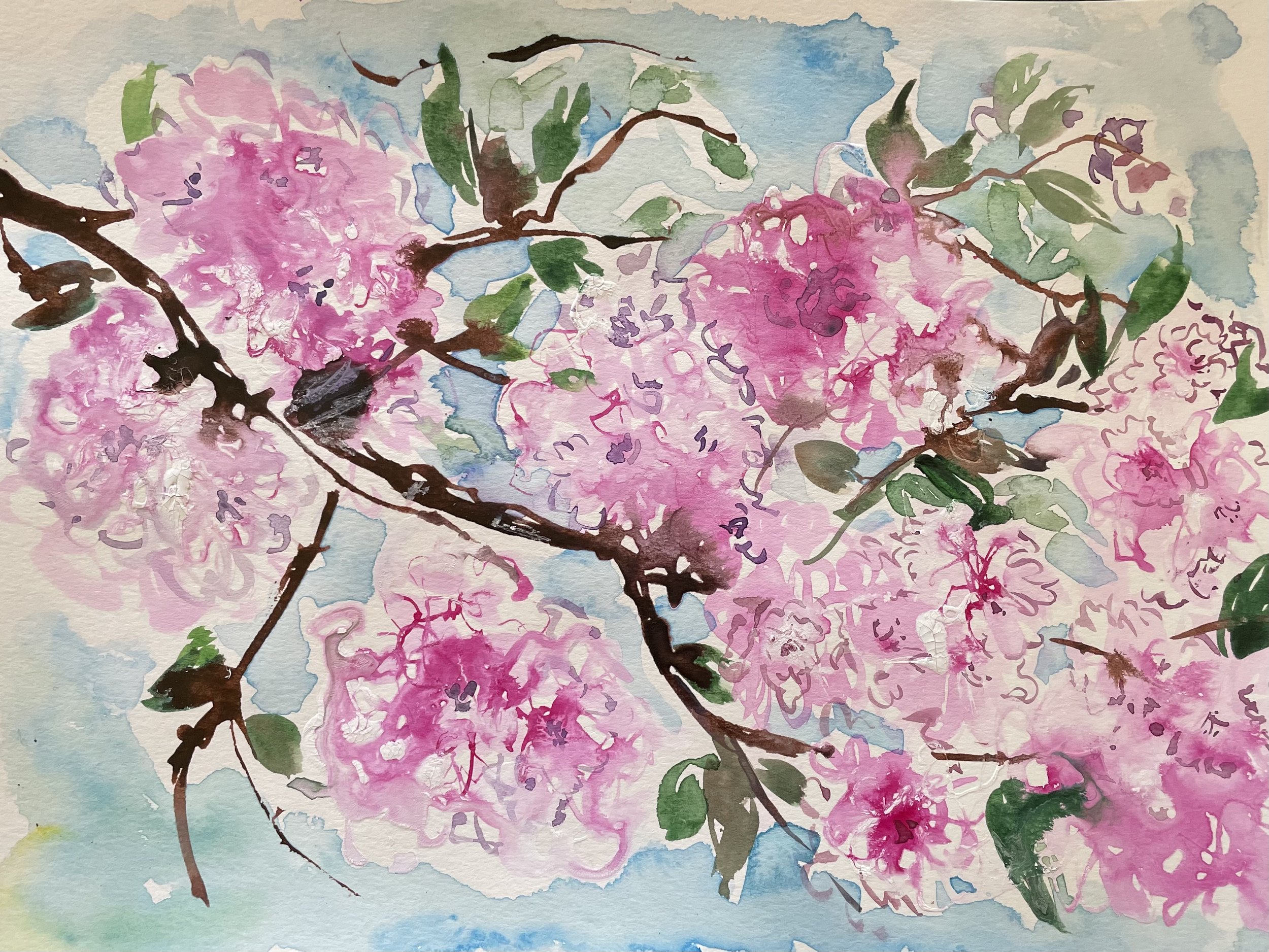 Floral 47 (Cherry Blossom), watercolor, 9*7", $ 150