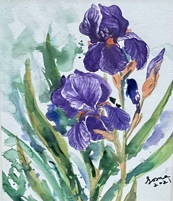 Floral 22 (iris), watercolor, 9*7", $ 150