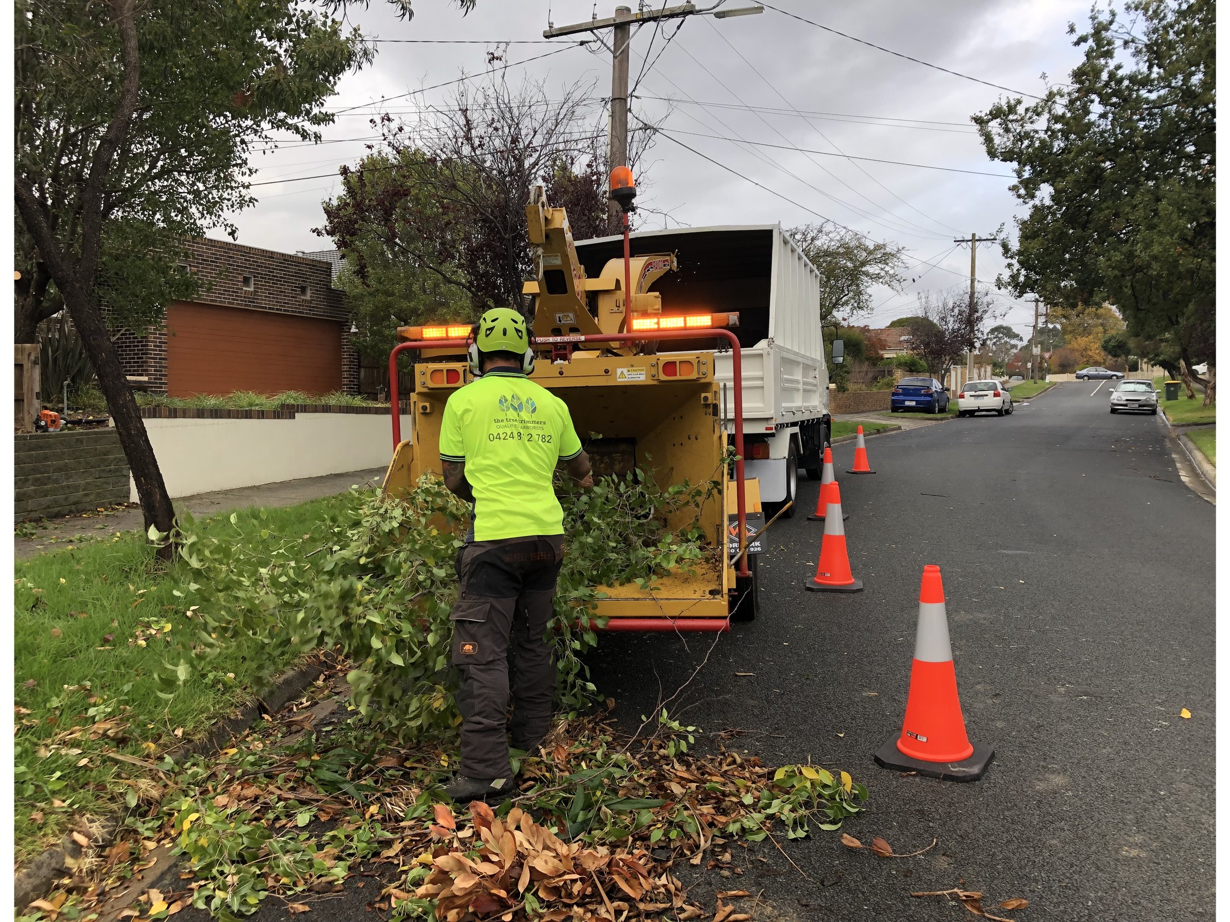 The Tree Trimmers - Eddie Chippig in Mitcham.jpeg