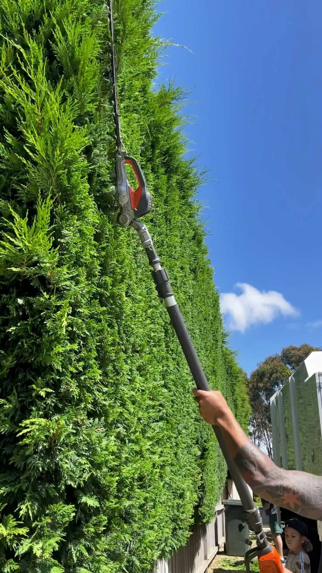 Location — The Tree Trimmers