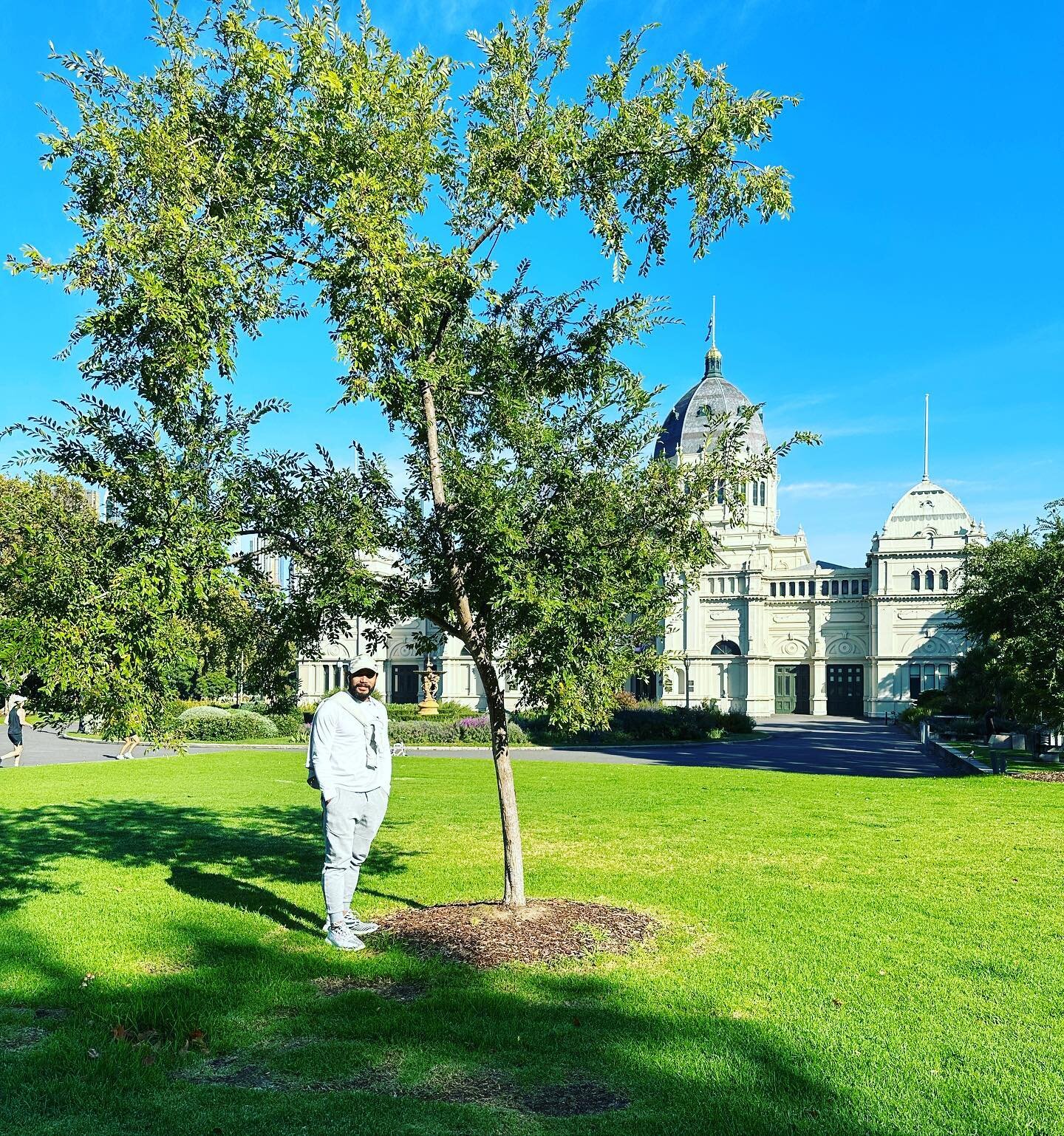 A proud tree Dad. Eddie planted this tree 2 years ago outside the Royal Exhibition Building. Had to go and past and check on its growth

#thetreetrimmers #qualifiedarborist #arborist #morningtonpeninsula #melbourne #victoria #treeclimber #skilledtrad
