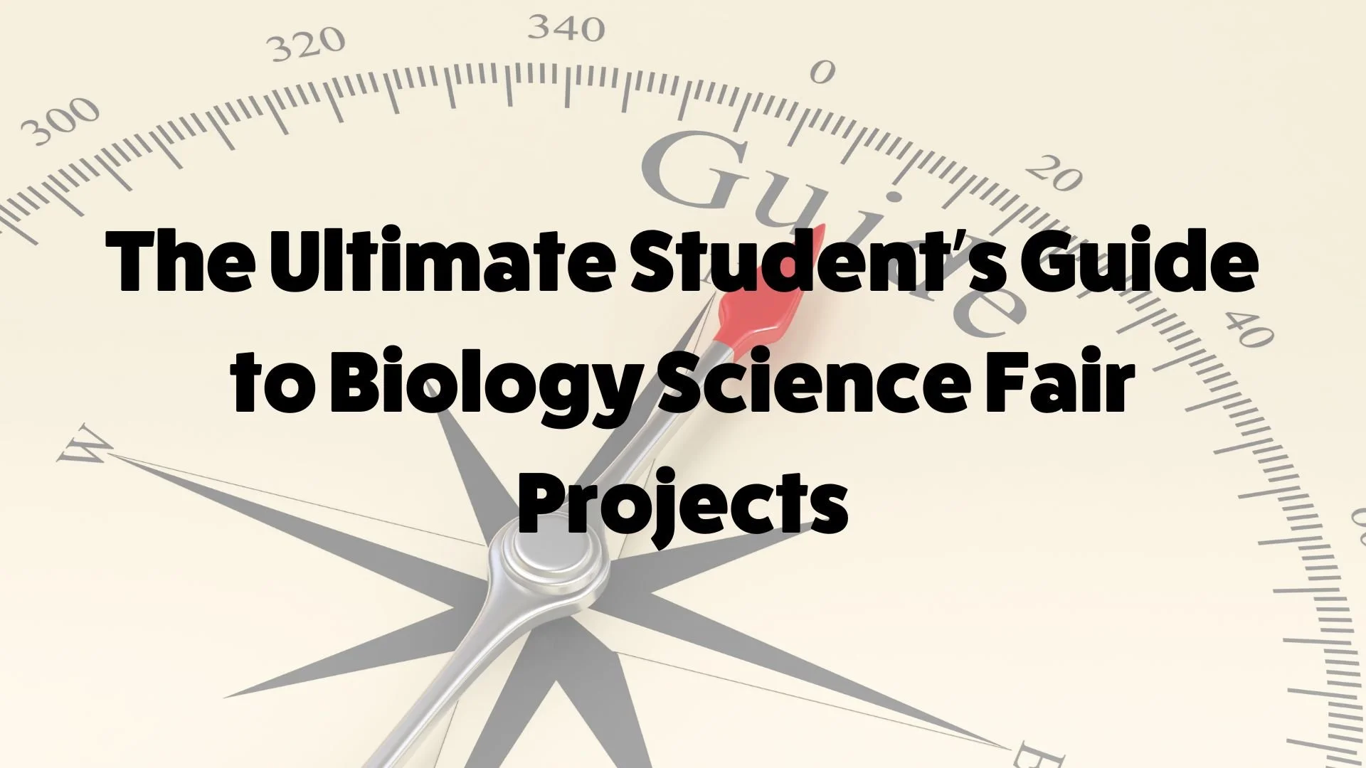 The Ultimate Student’s Guide to Biology Science Fair Projects — Inspirit AI
