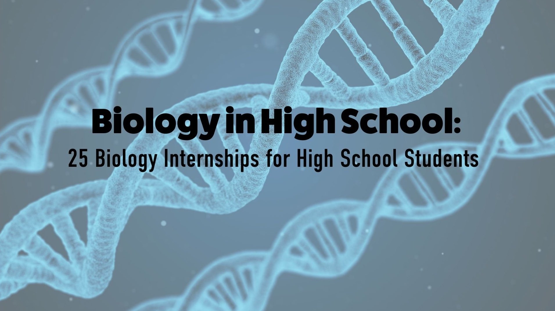 25 Biology Internships for High School Students in 2023 — Inspirit AI