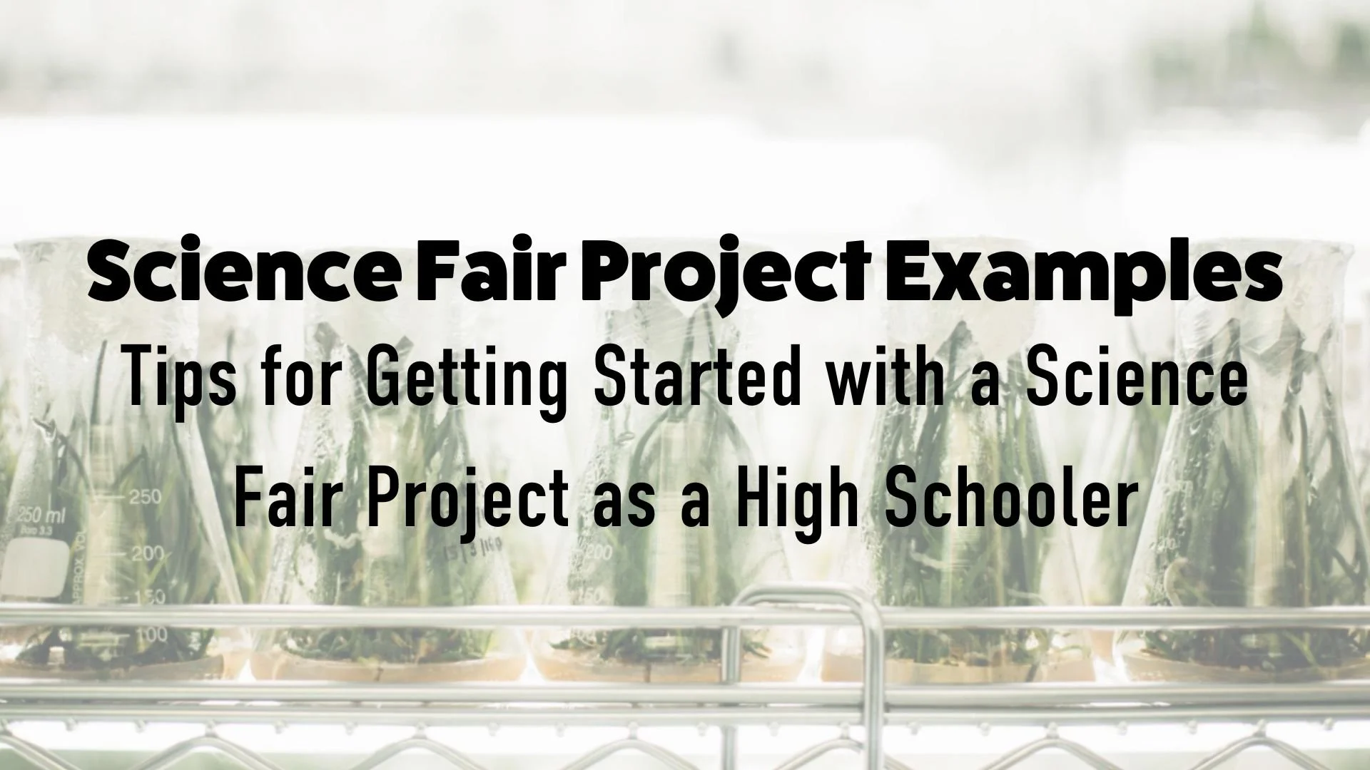 Science Fair Projects: A Quick Guide To Abstracts – YDCISN