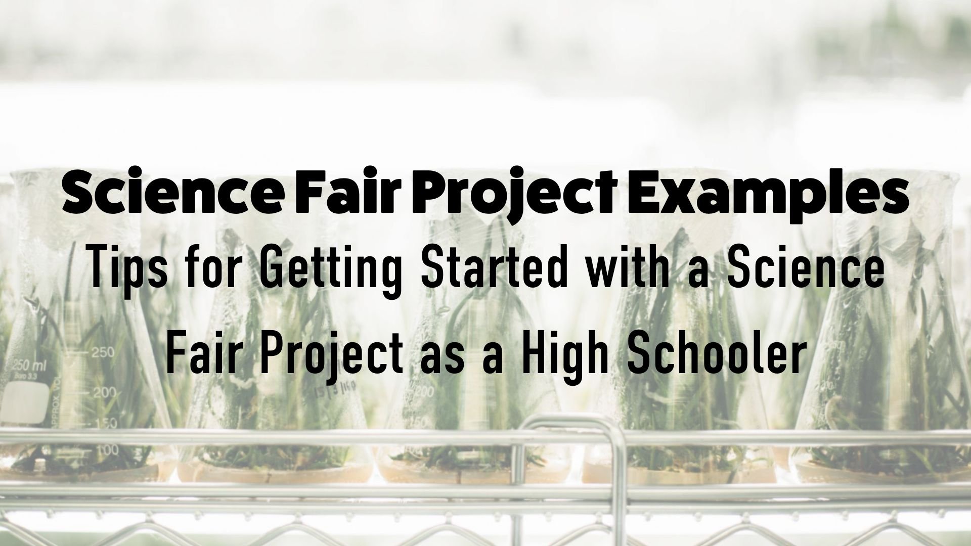 Science Fair Project Examples Tips For Getting Started With A Science 