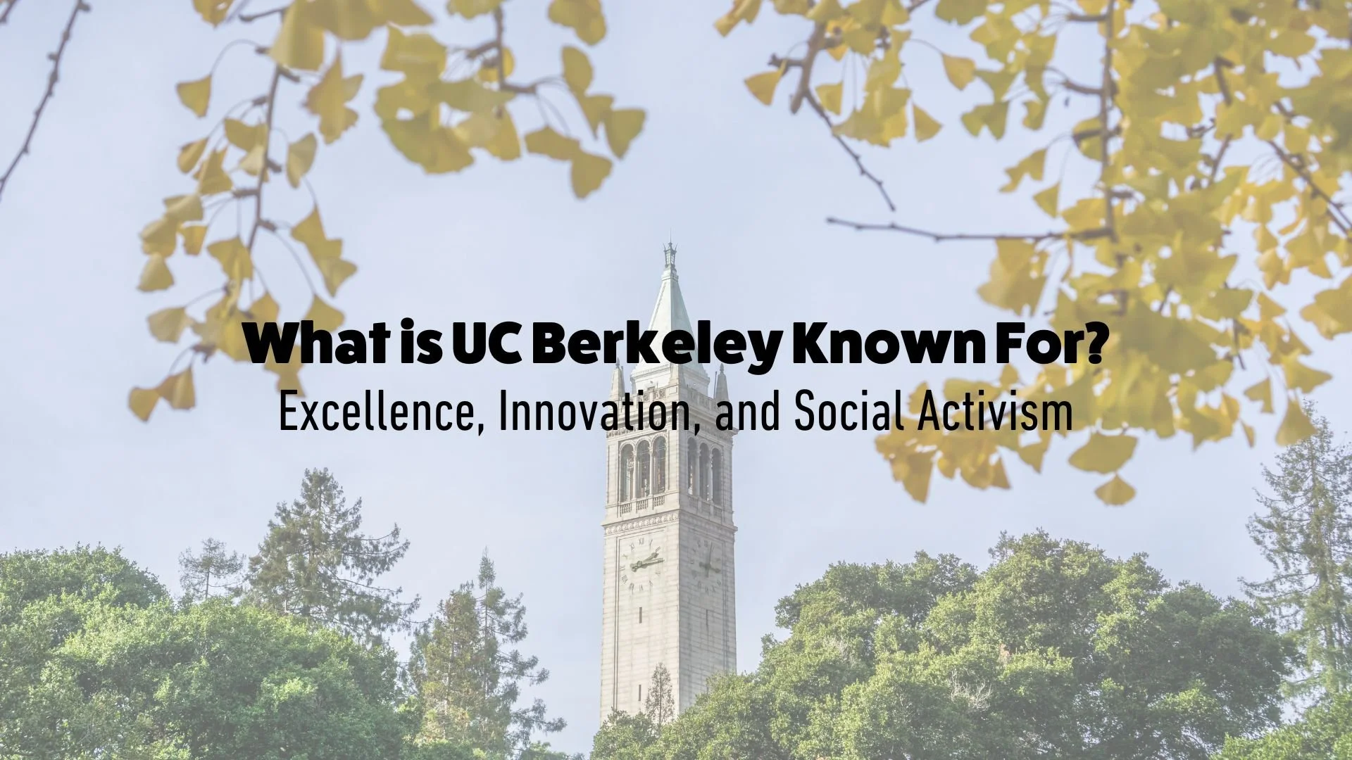 What is UC Berkeley Known For? Excellence, Innovation, and Social