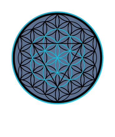 Stewart General Contracting (SGC)