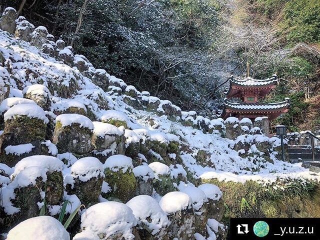 Only one morning... this happened!❄️☃️ into the unknown..!! ・・・ #otaginenbutsuji #otagiji #kyoto #kyototrip #kyototravel #instatravel #instatravelling #visitkyoto #kyotoinstagram #discoverjapan #japan #sightseeing #そうだ京都行こう #愛宕念仏寺 #京都 #京都観光 #寺巡り #tem