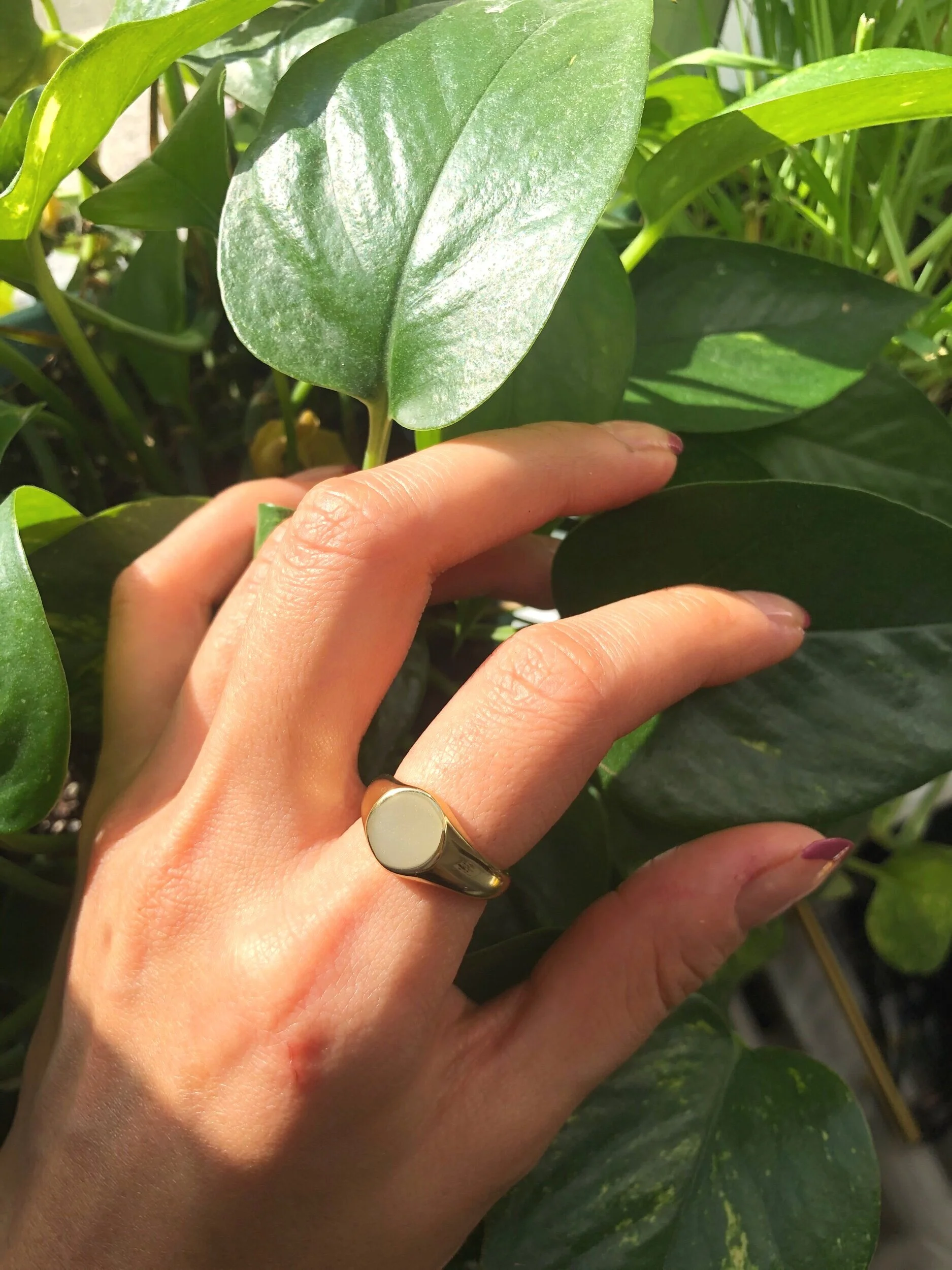 6F3FC17C-4D18-4597-99AE-796881A883FE