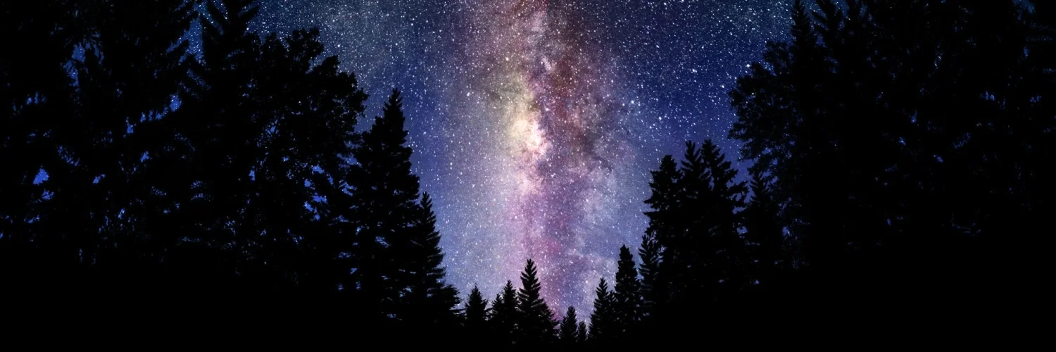 Starry Night 2.jpg