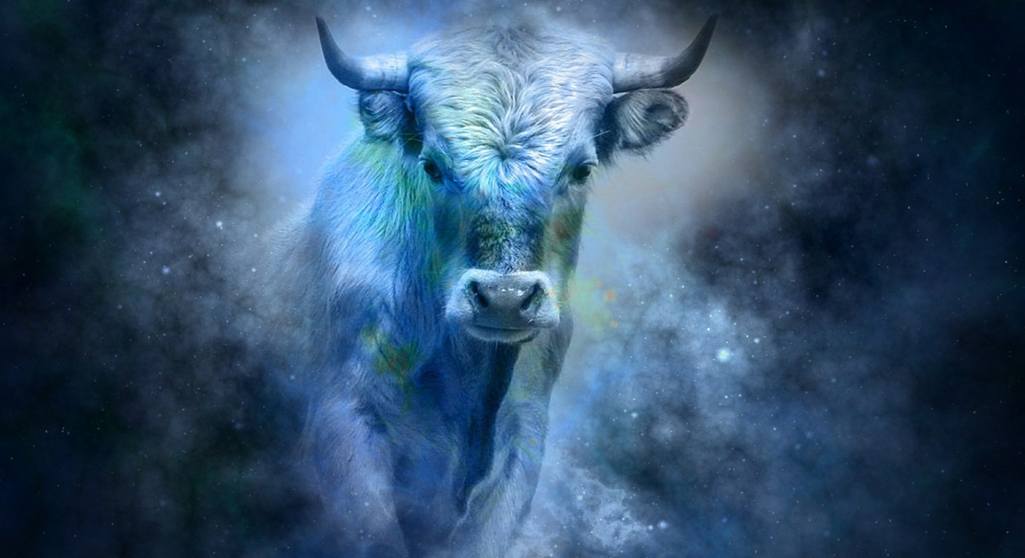 Taurus August 2023 Monthly Horoscope Predictions  Times of India