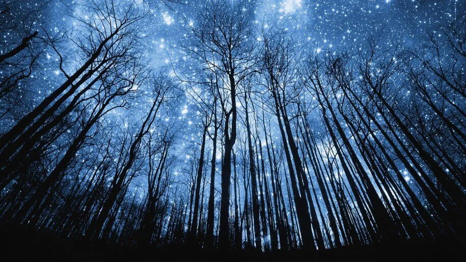 FEBRUARY 2021 ASTROLOGY HOROSCOPE FOR YOUR ZODIAC SIGN