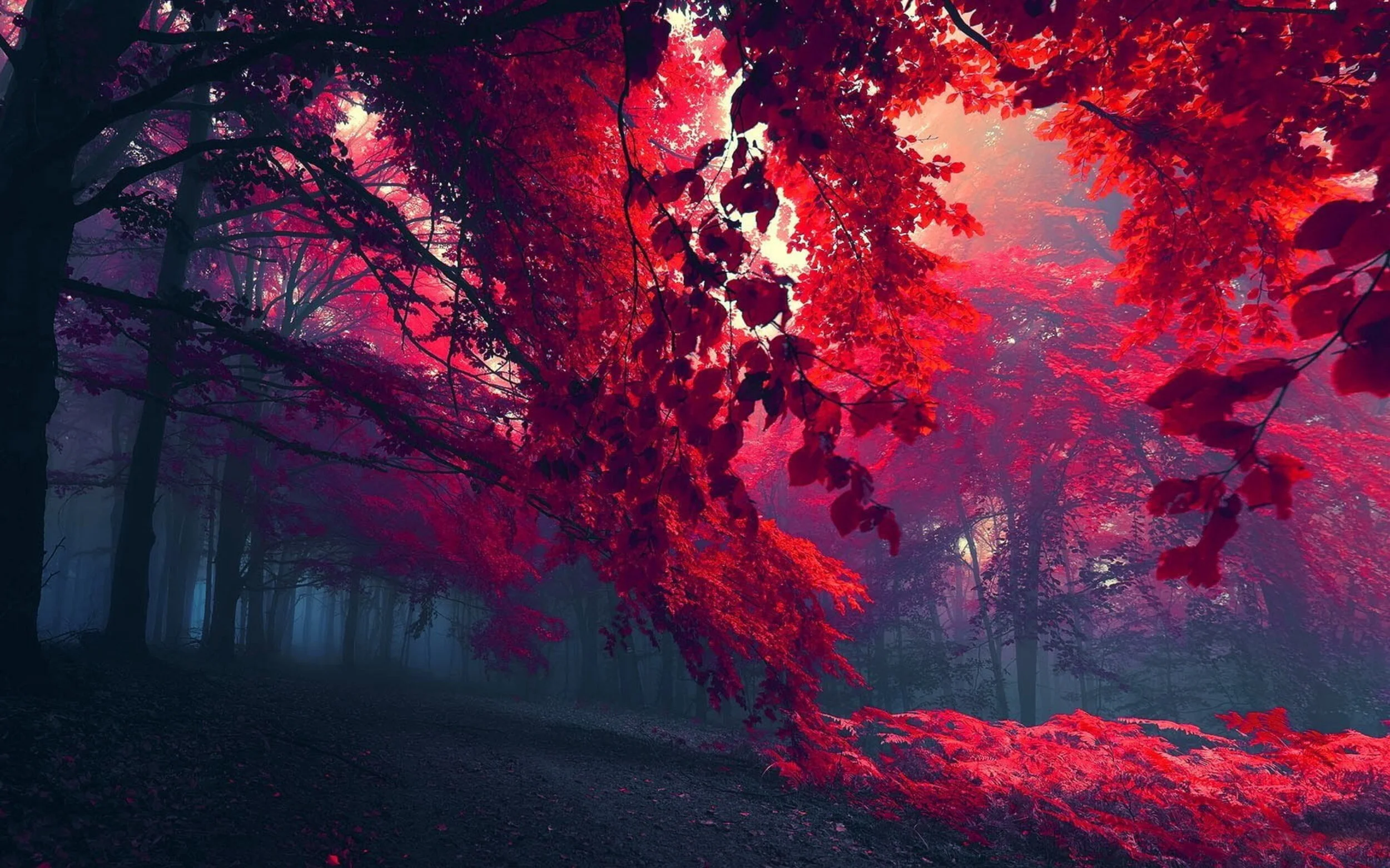 NOVEMBER 2021 ASTROLOGY HOROSCOPE FOR YOUR ZODIAC SIGN