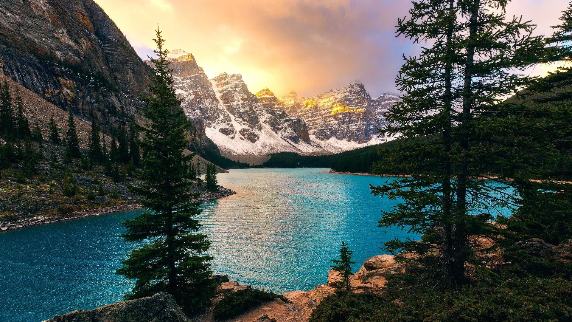 2022 ASTROLOGY HOROSCOPE: YOUR ENTIRE YEAR'S PREDICTIONS