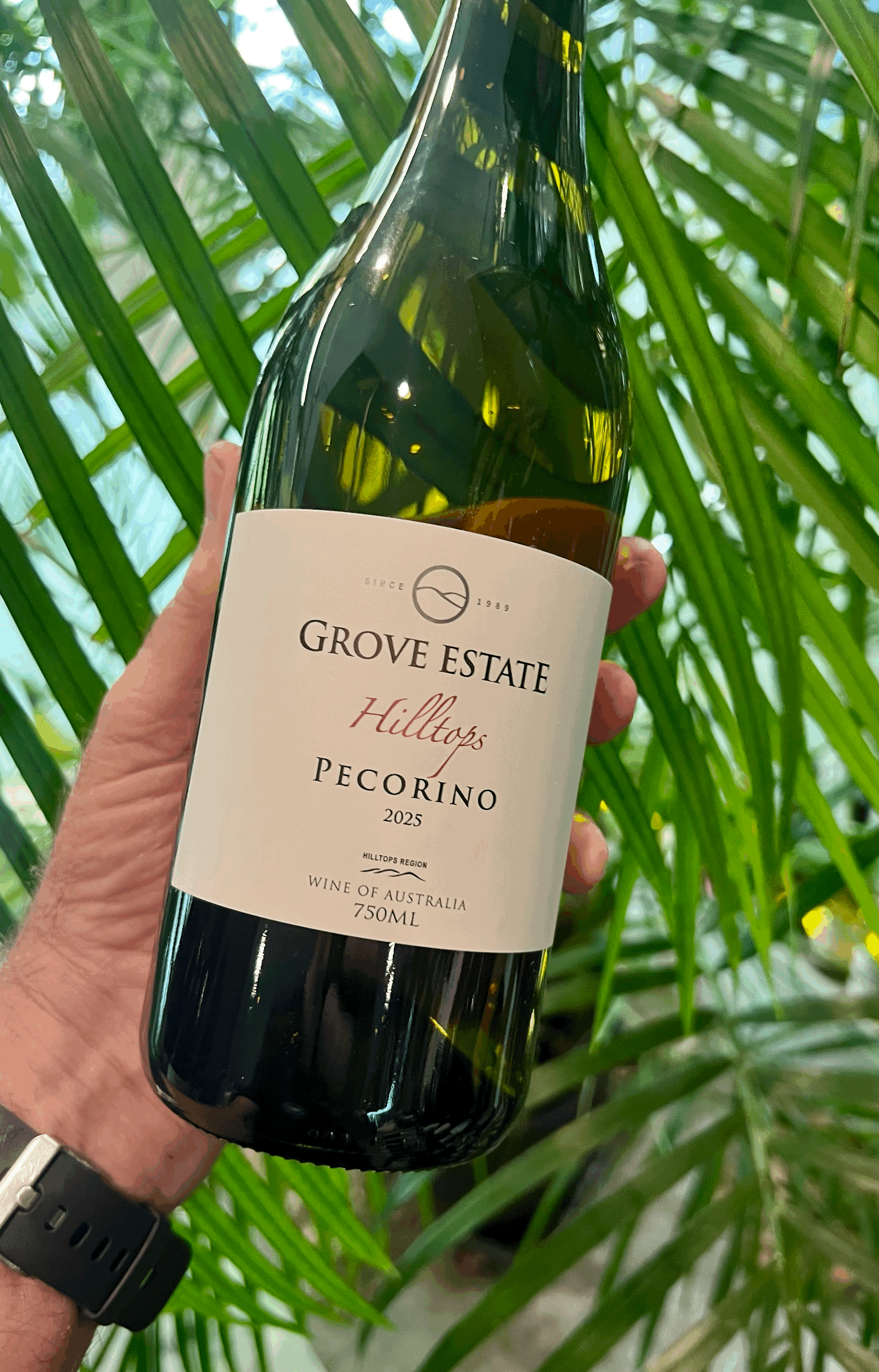 tempImageV5PuUv.gif (Copy)