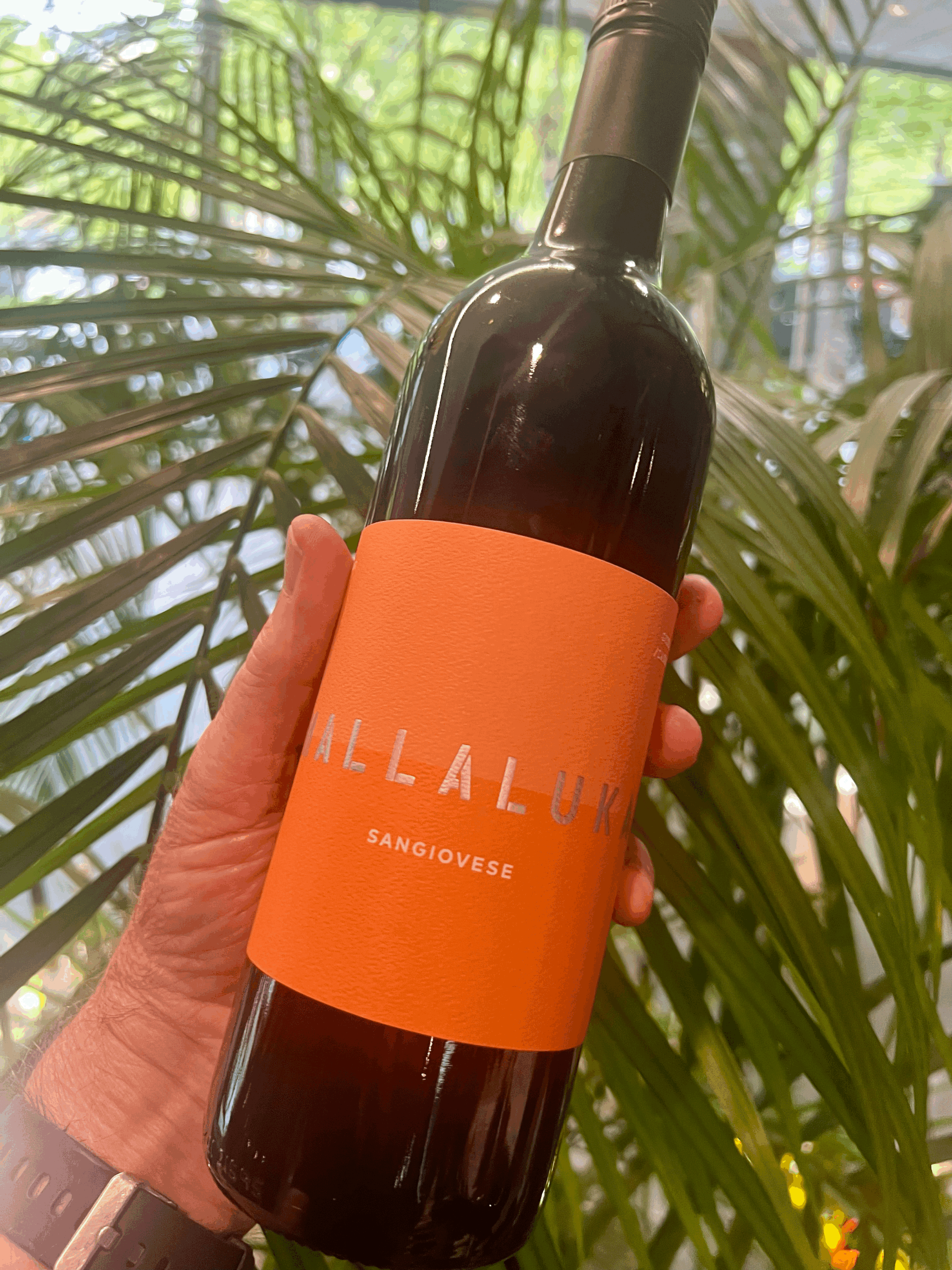 tempImage592sGy.gif (Copy)