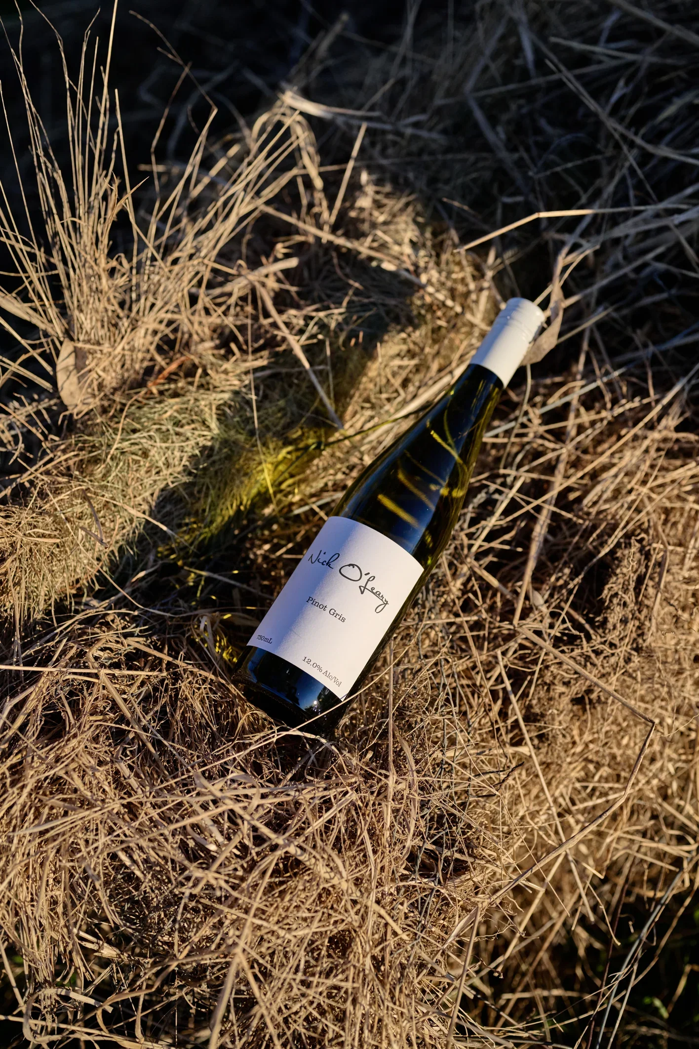 Pinot_gris_ready.jpg.webp