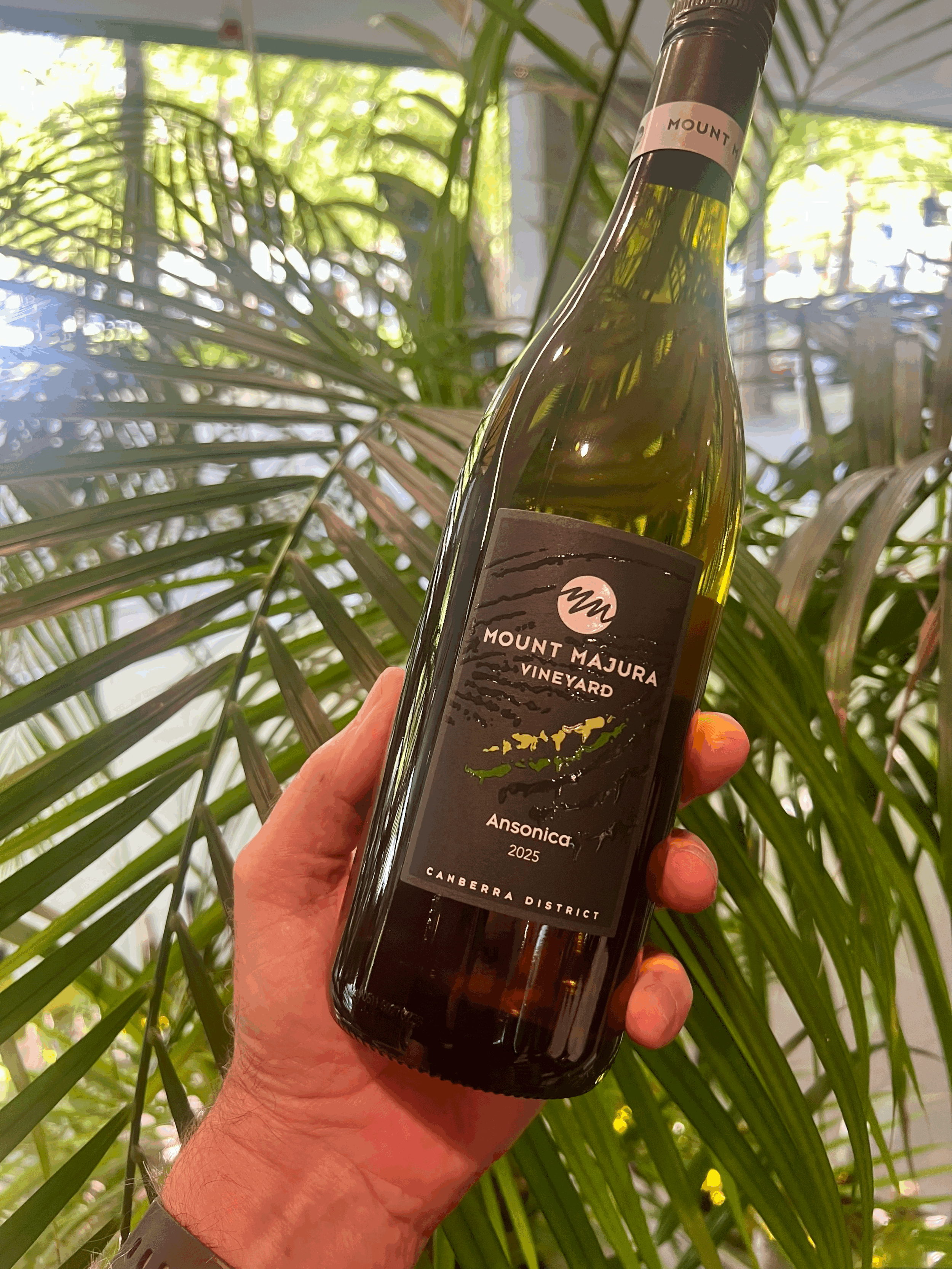 tempImageuekmku.gif (Copy)