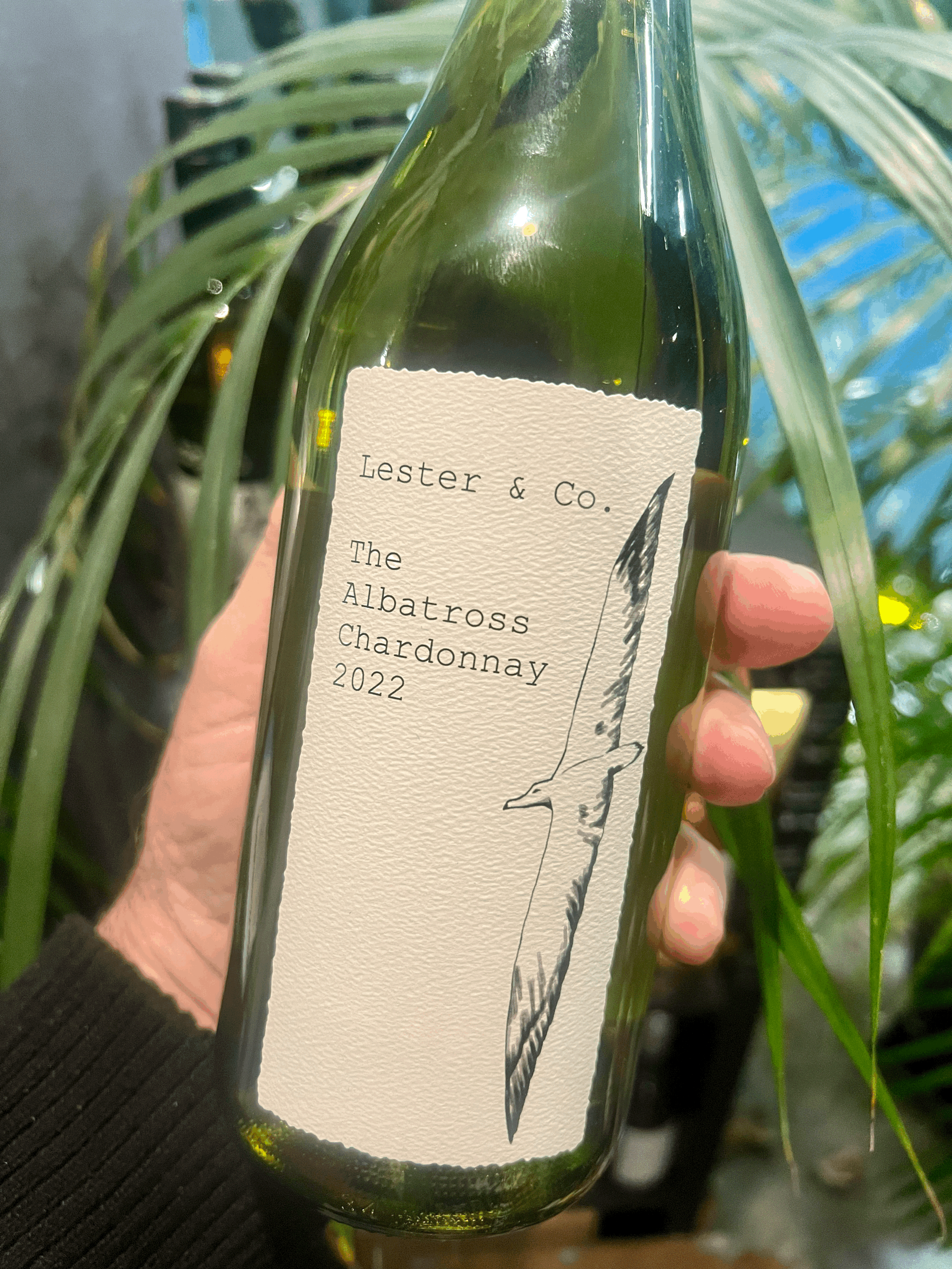 tempImageqQoQyG.gif (Copy)