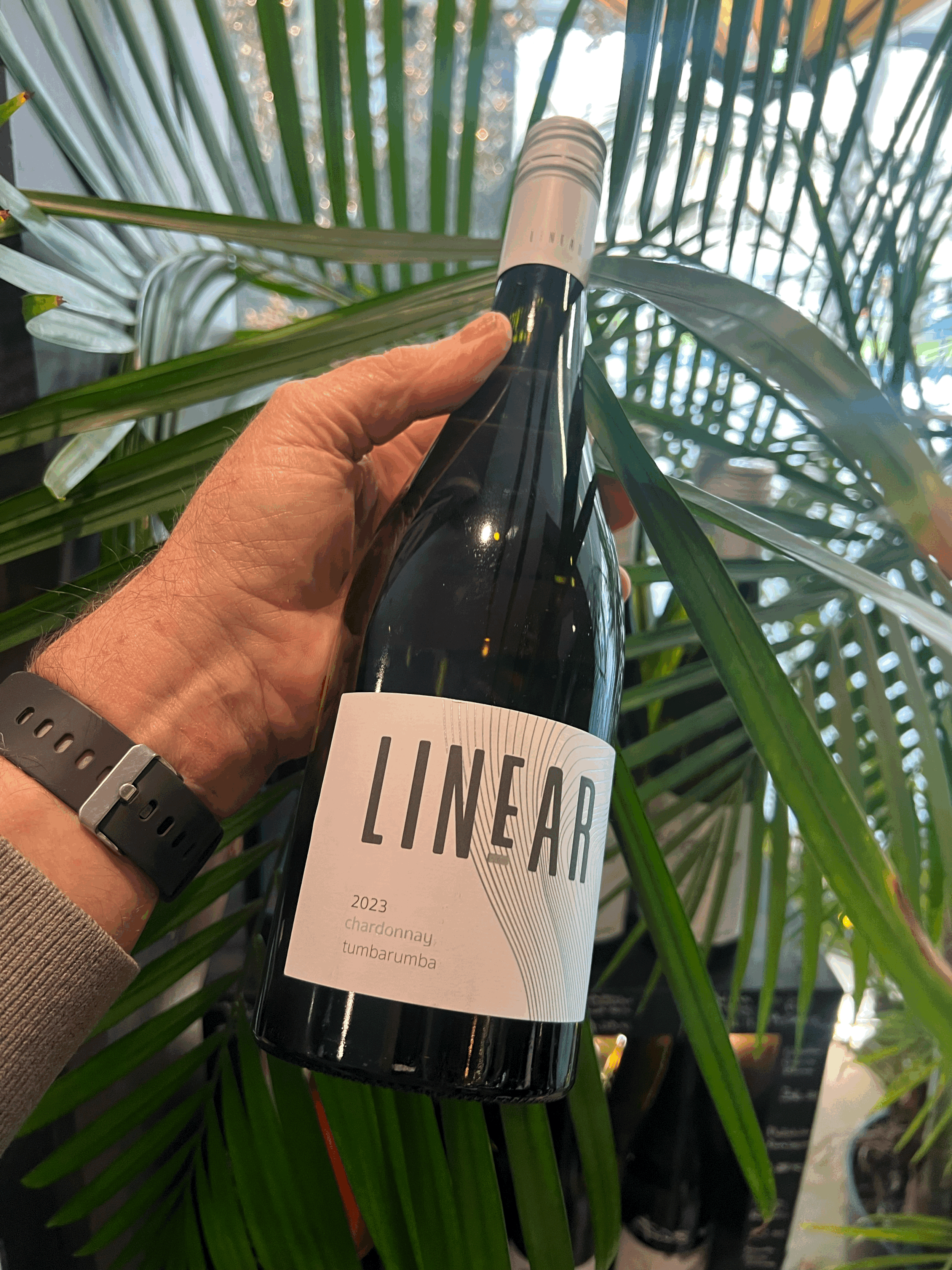 Linear Chardonnay 2023