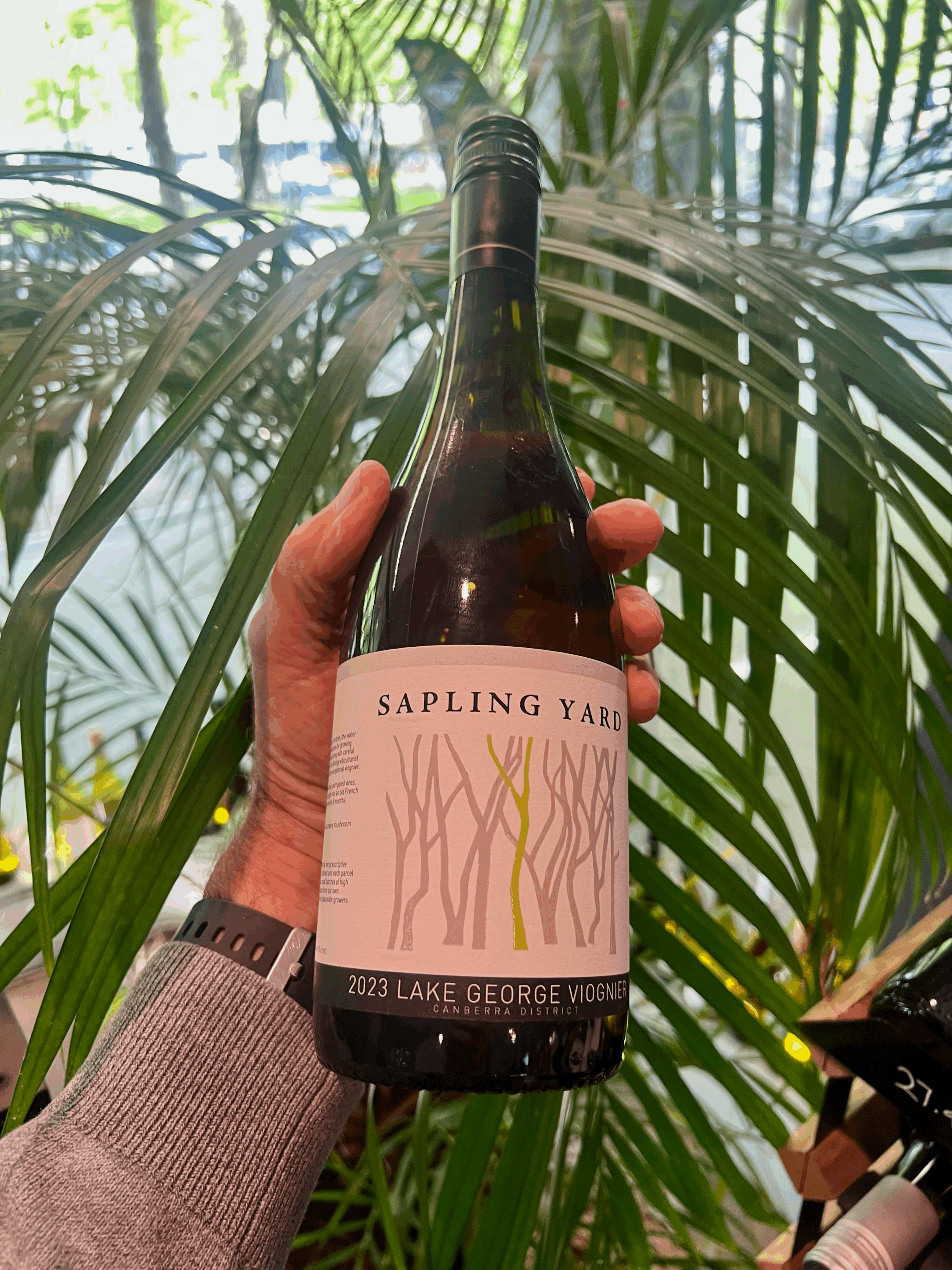 tempImageLikyVb.png (Copy)