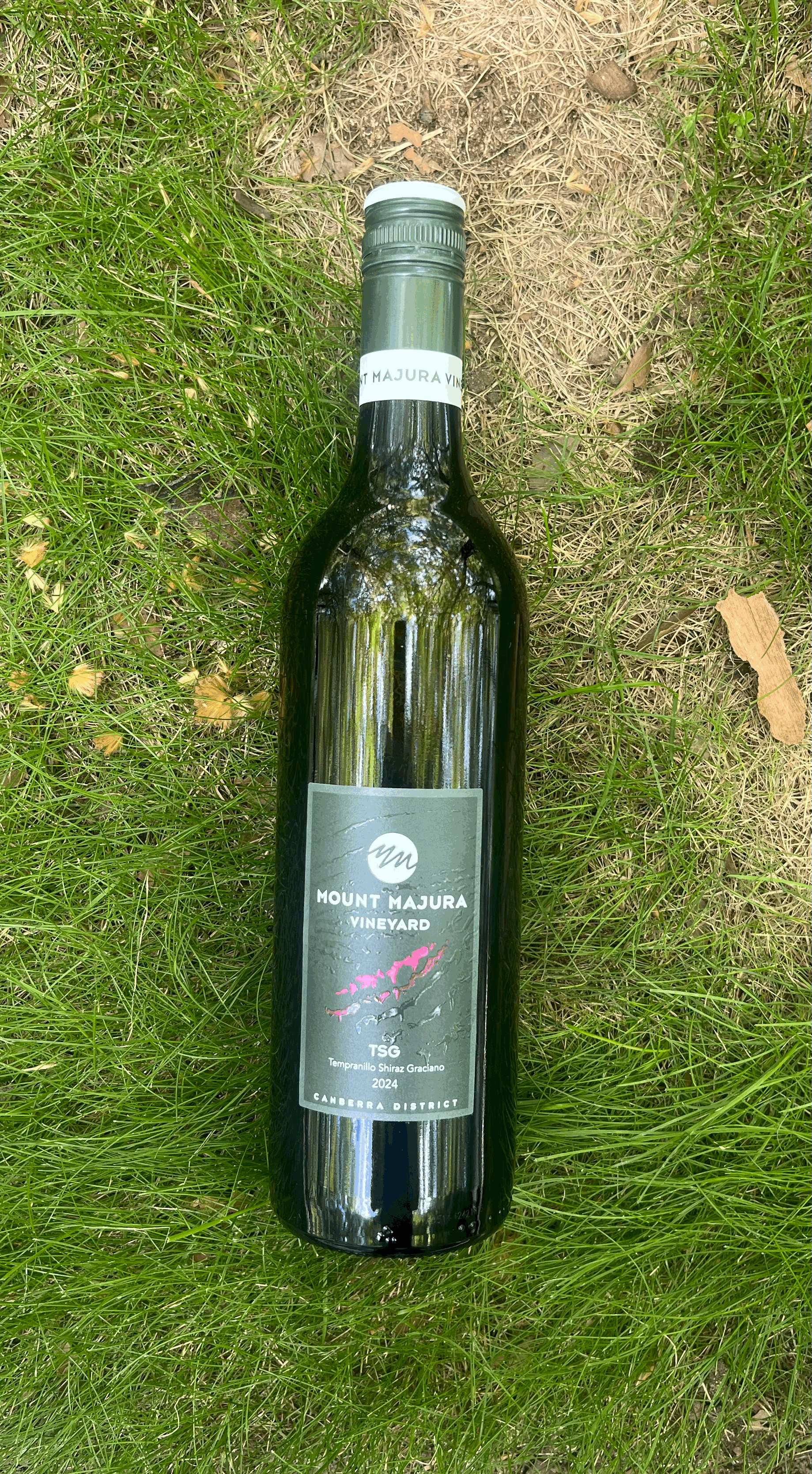 tempImageLvQ1I3.gif (Copy)