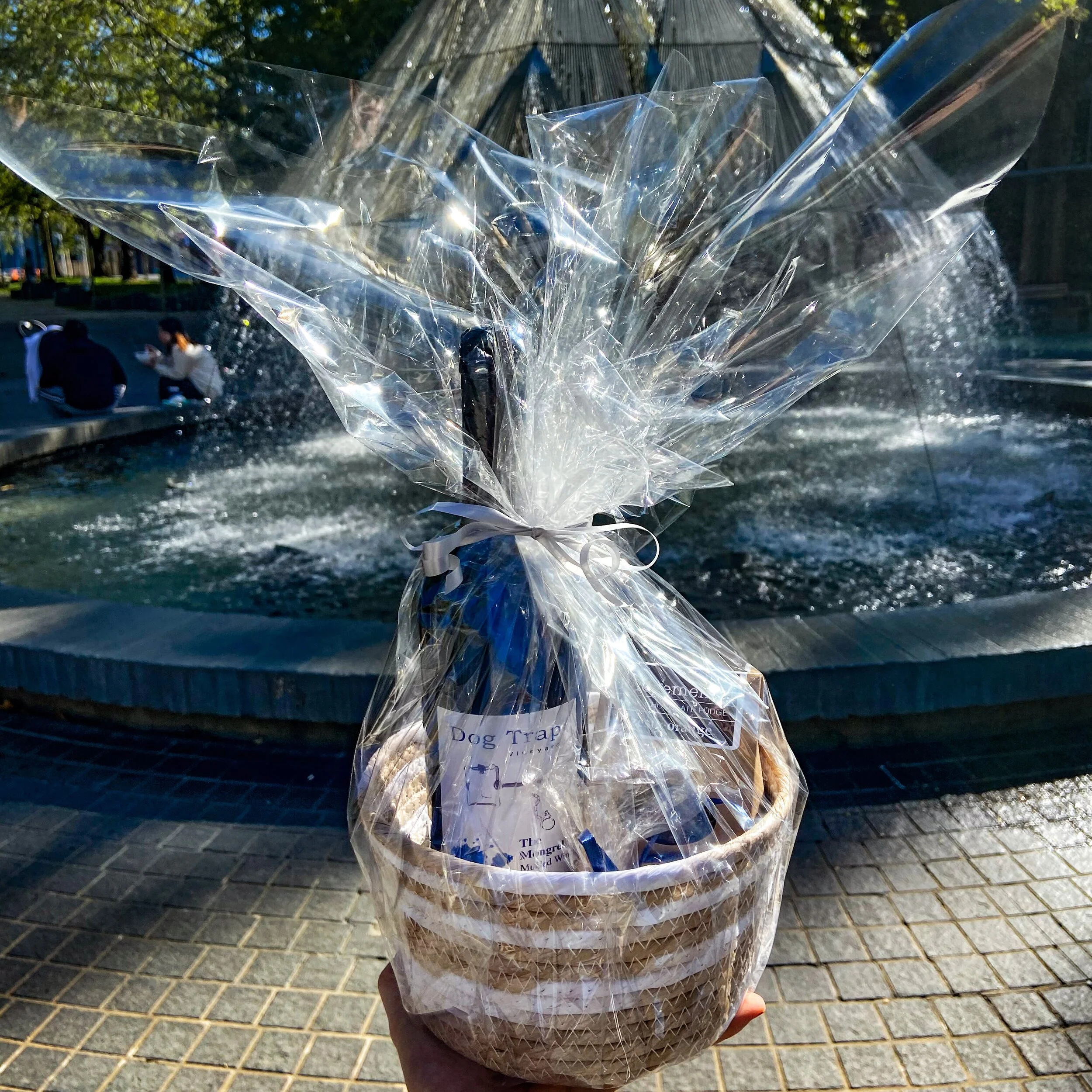 A gift basket wrapped in clear cellophane, containing a bottle and dog trap, being held in front of a fountain in an outdoor park.