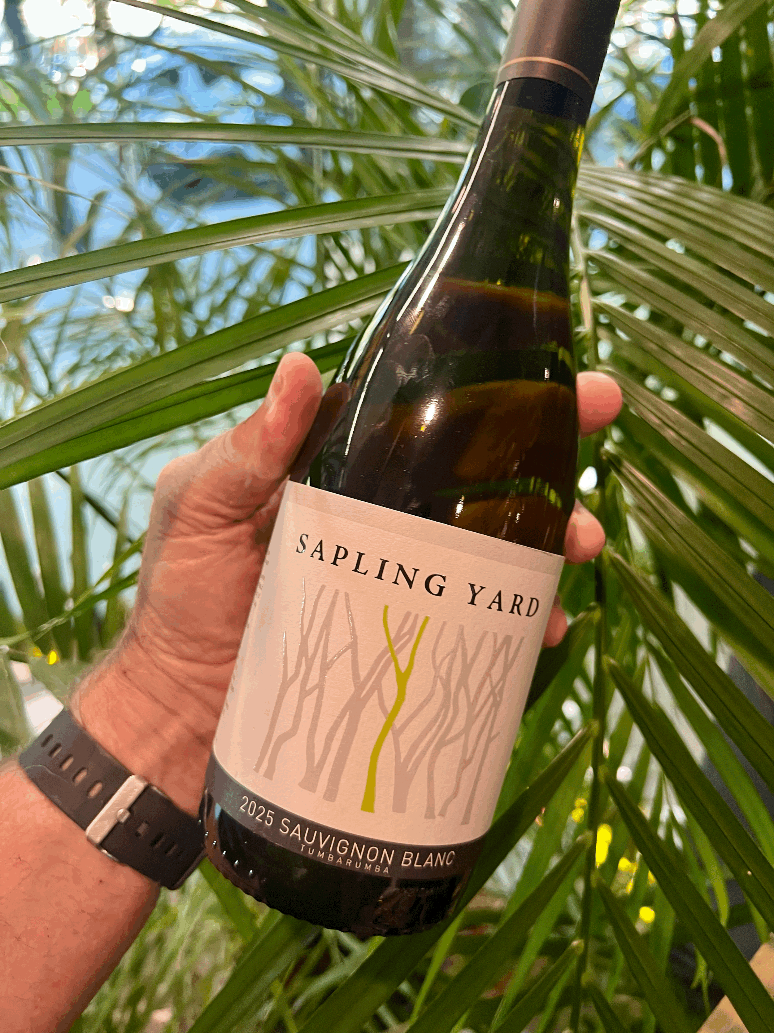 Sapling Yard Chardonnay 2023