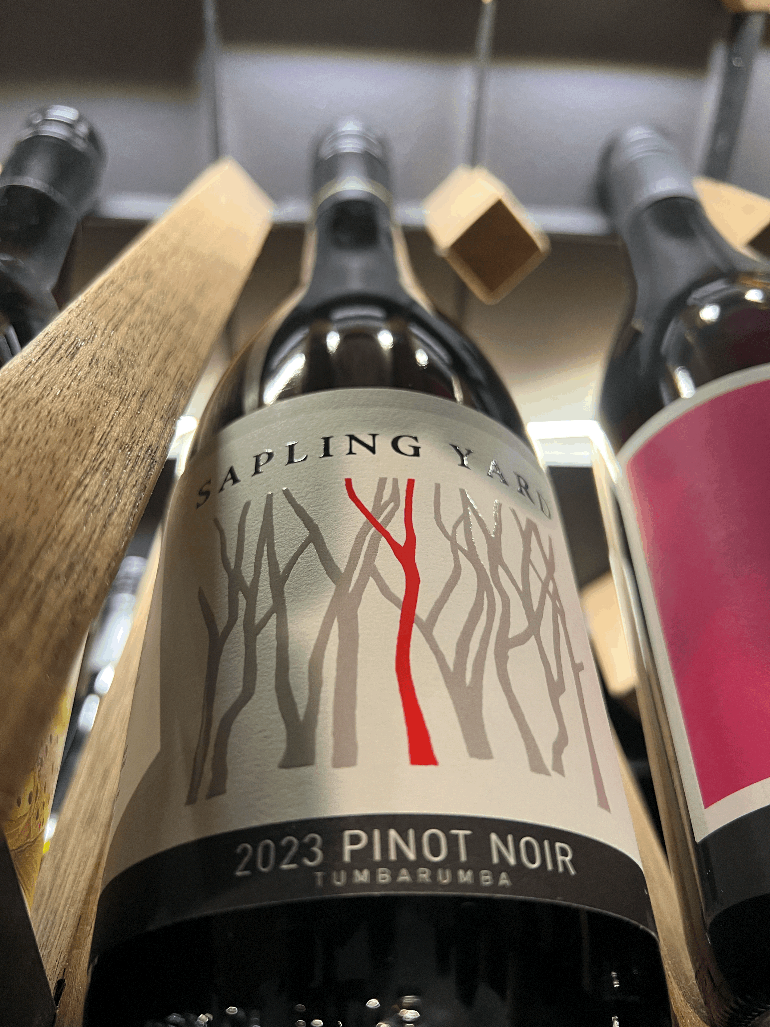 Sapling Yard Tumbarumba Pinot Noir 2023