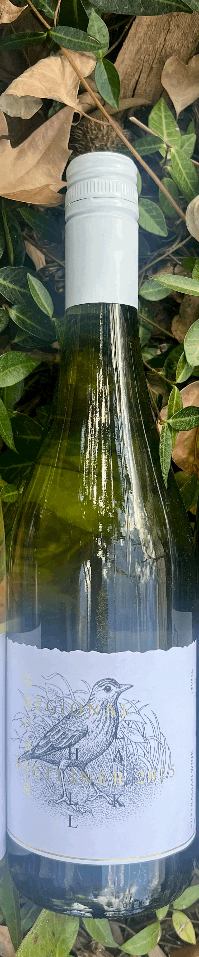 tempImageDOhvrO.gif