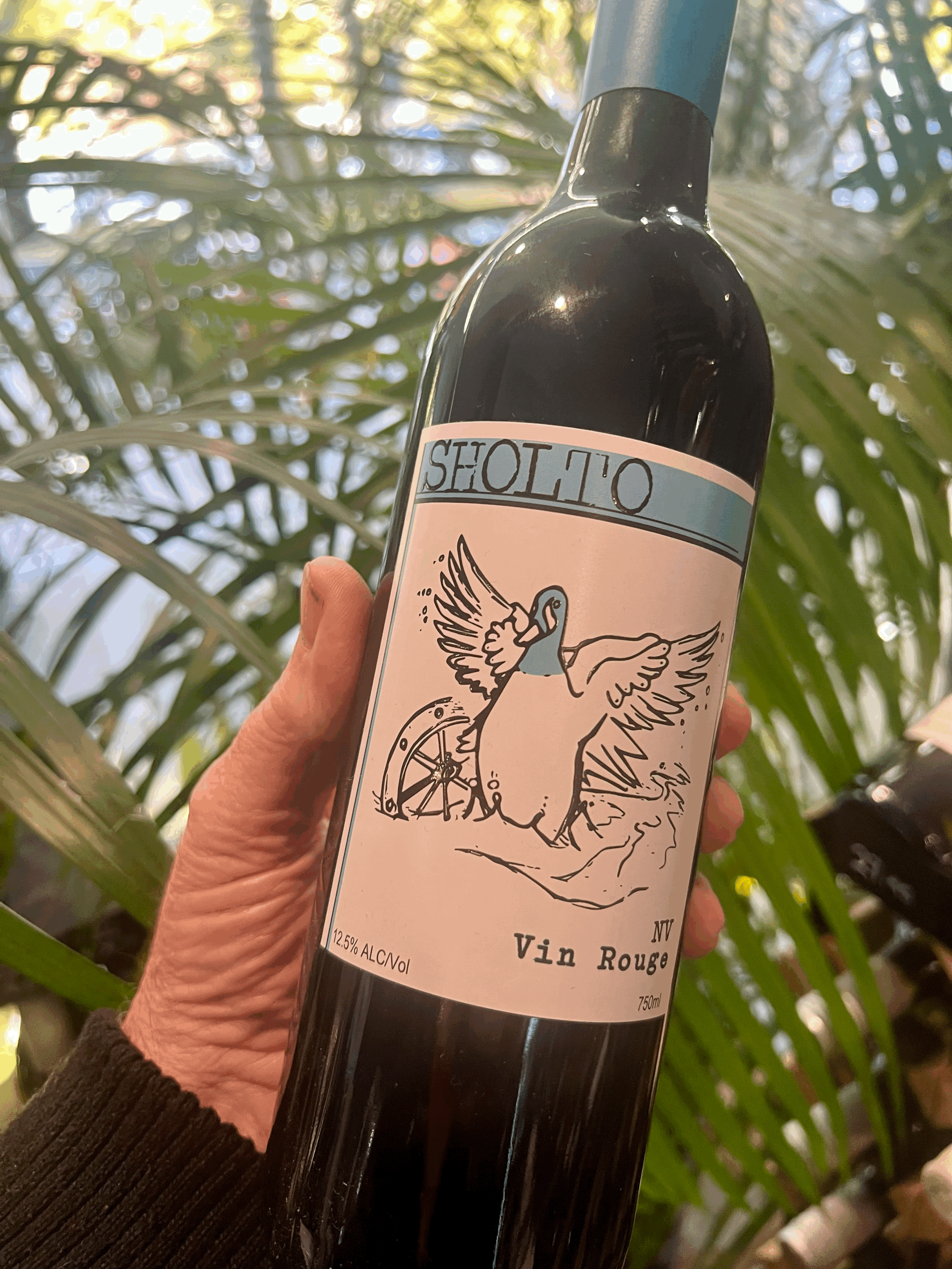 Sholto Vin Rouge NV