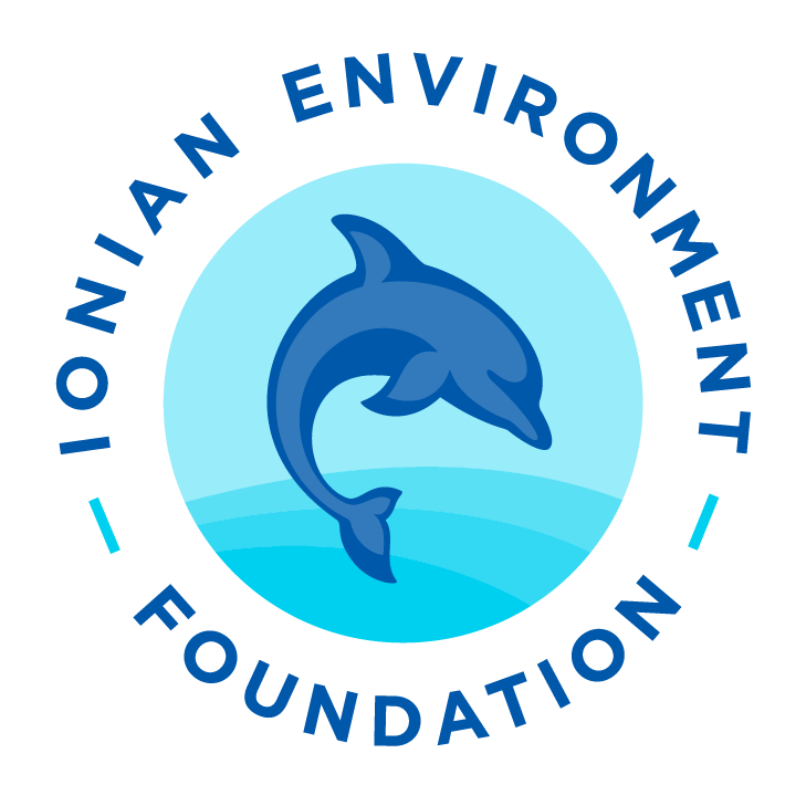 IEF logo.png