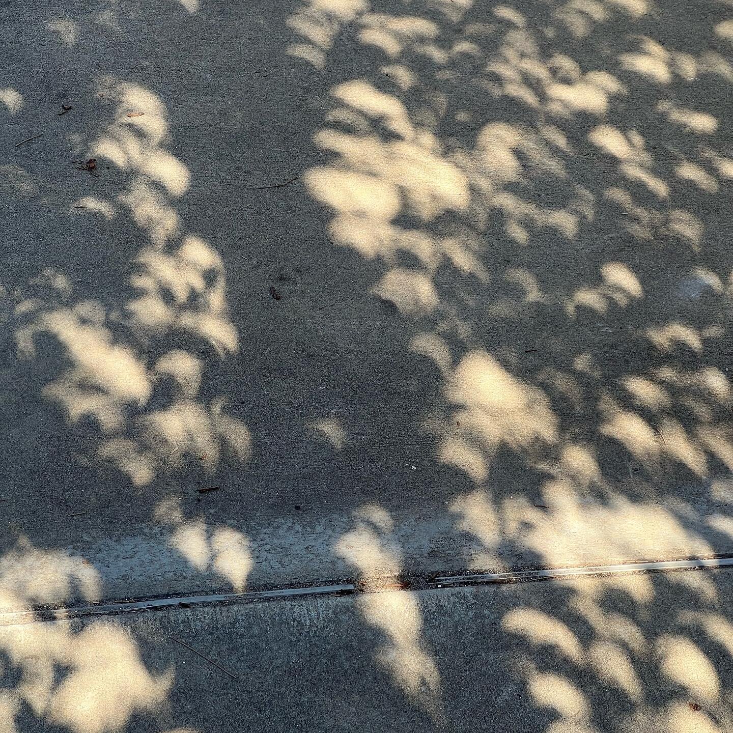 - c r e a t e
A bright sunny day in Perth today for the partial solar eclipse. I rode around on my bike admiring the crescent shaped light spots on the pathway that were formed by the sun shining through the trees. The spaces between the leaves act a